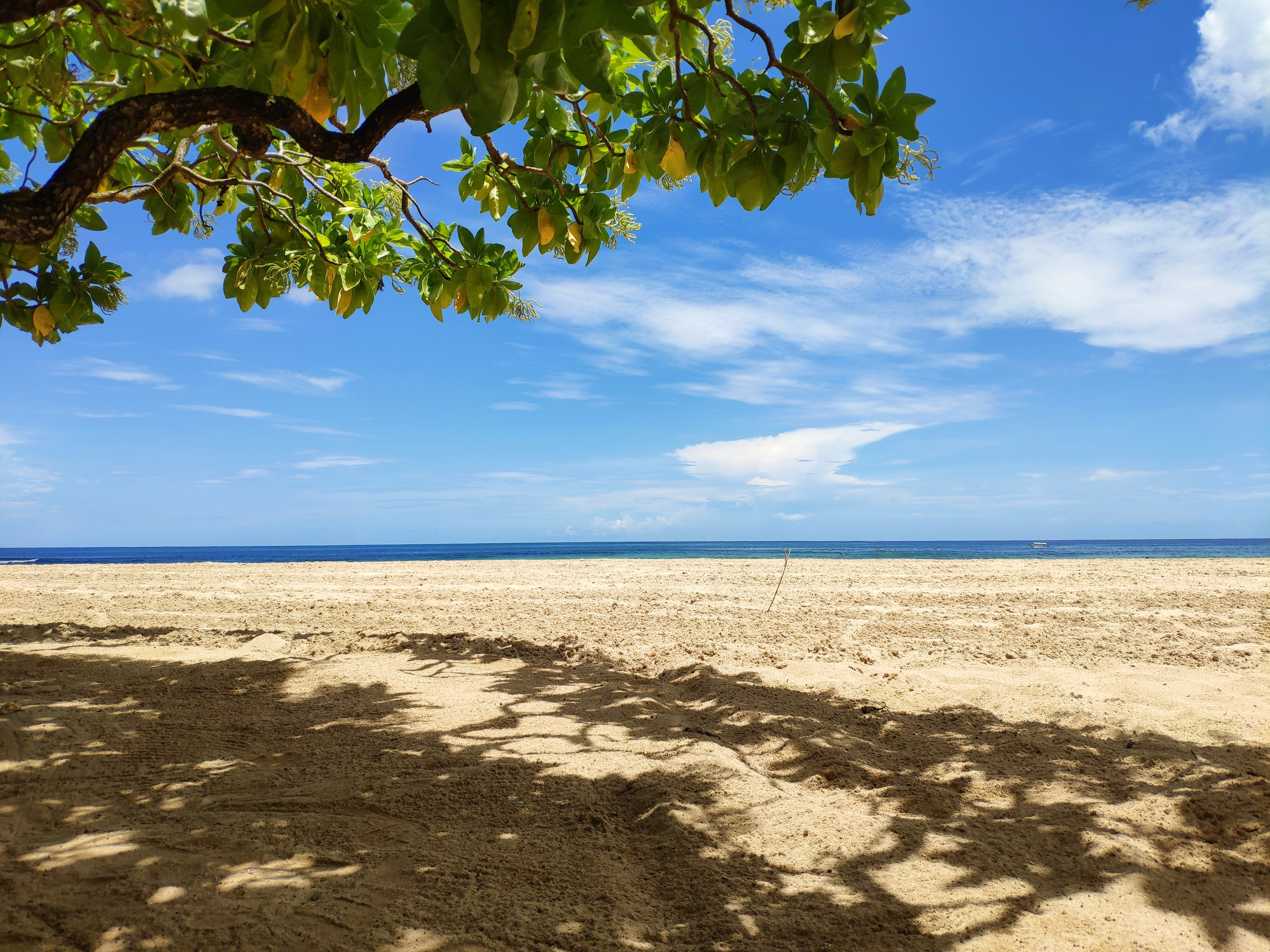 Indonesia (Bali Island). Фотограф Алексей Федорищев