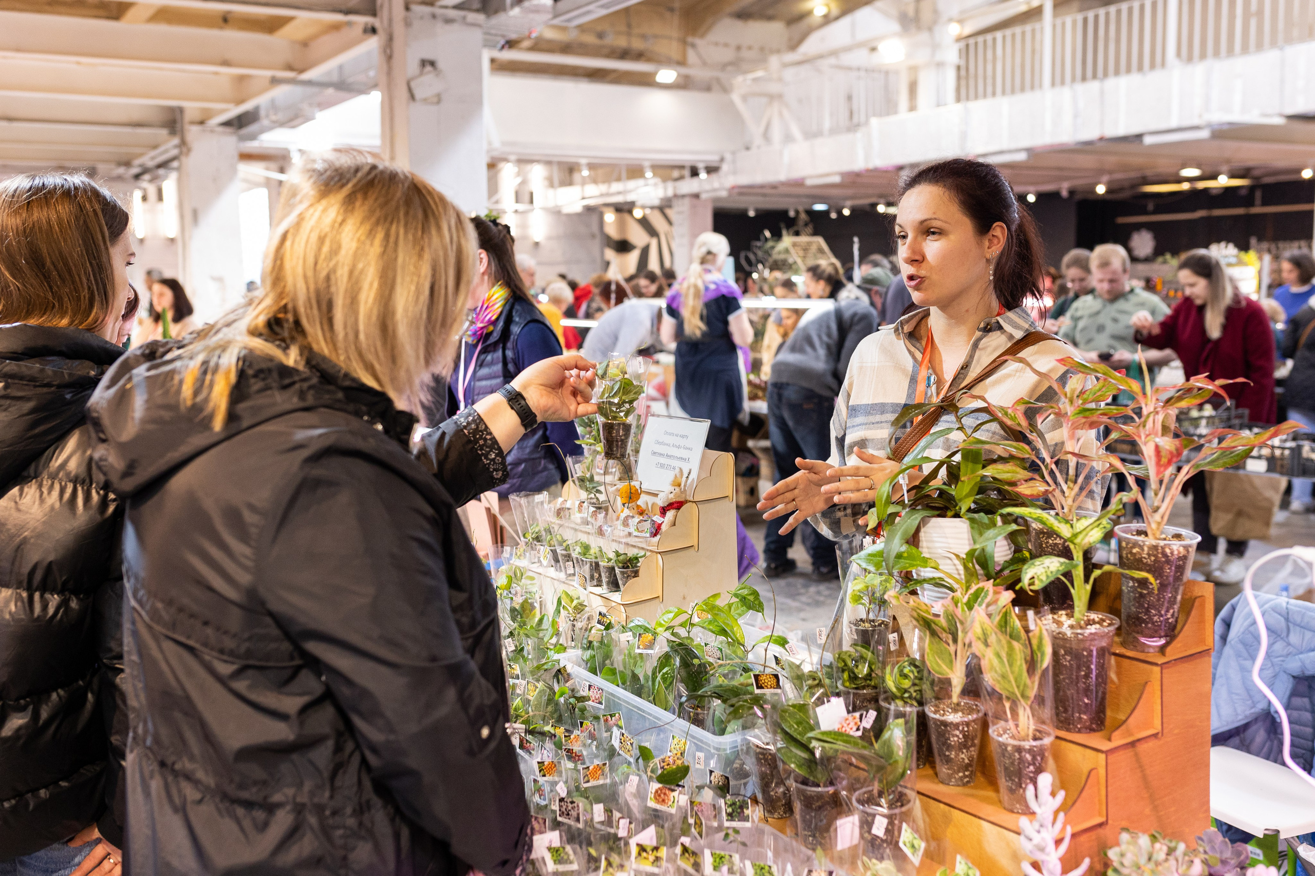 Meza market 2024. Александра Куликова фотограф, Москва