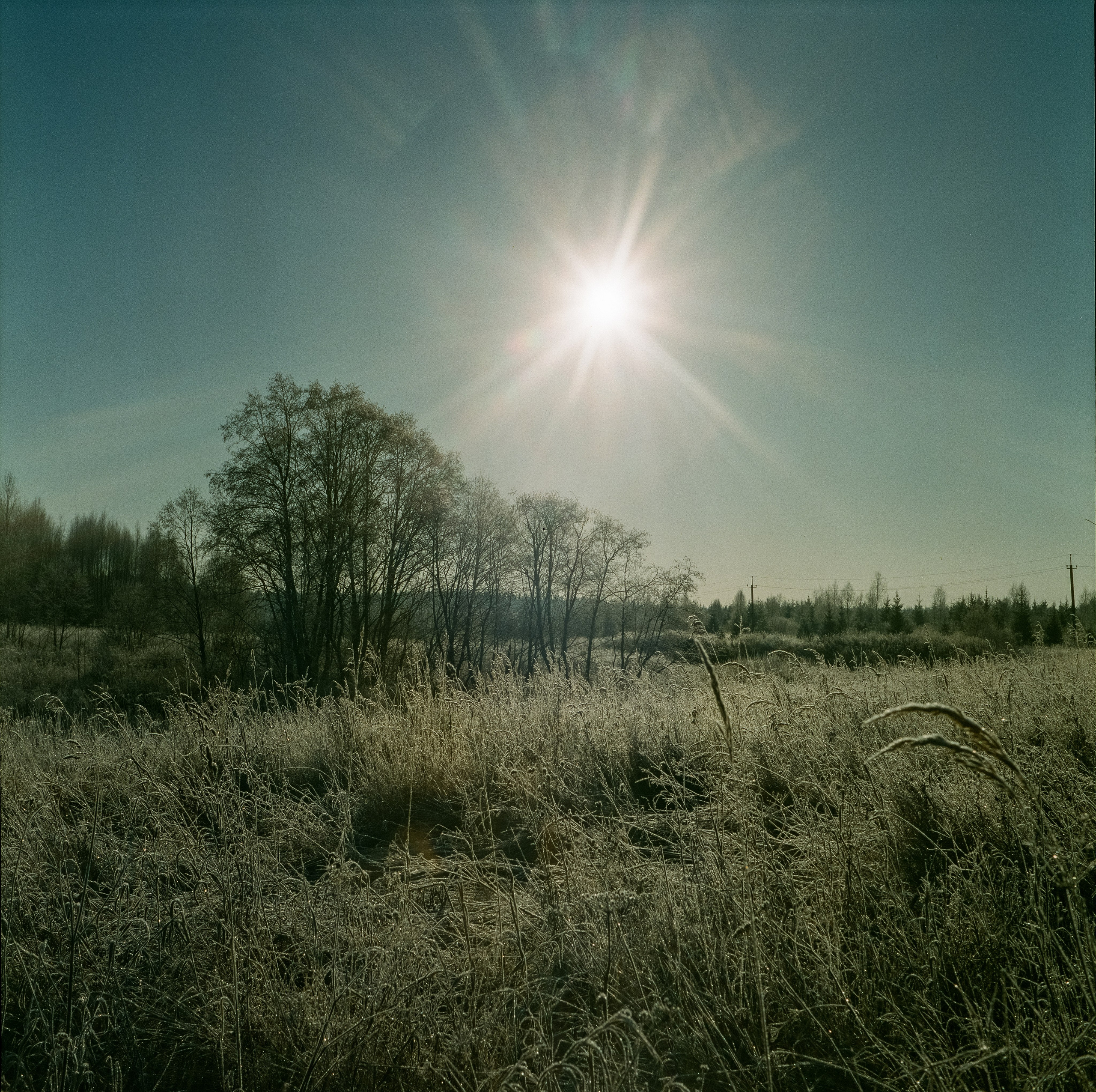 Rollop Enna Munchen Ennagon / Fujicolor PRO 400H