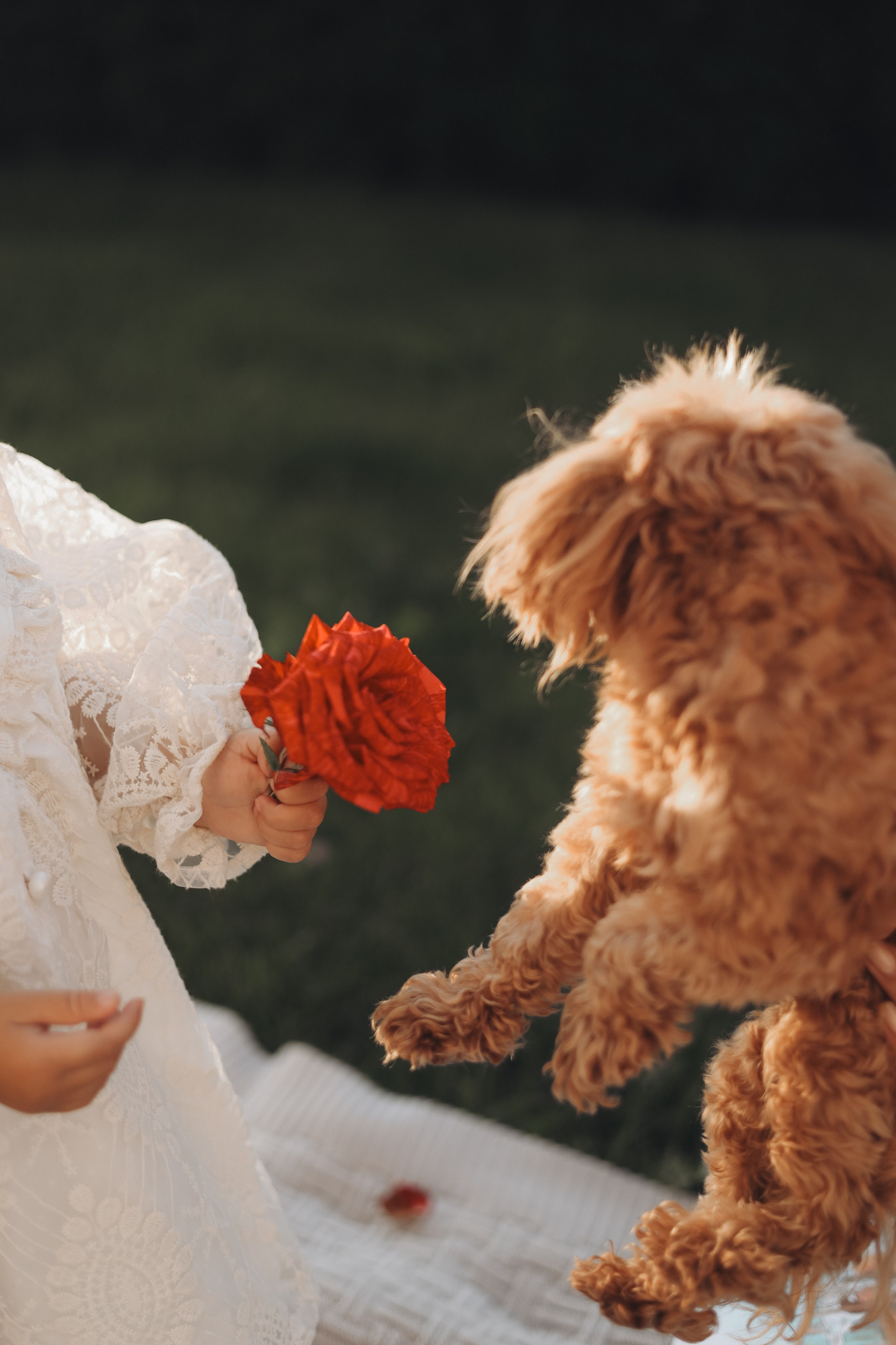 В гостях у Лили и Майи. Диана Чечель. Свадебный и портретный фотограф в Москве