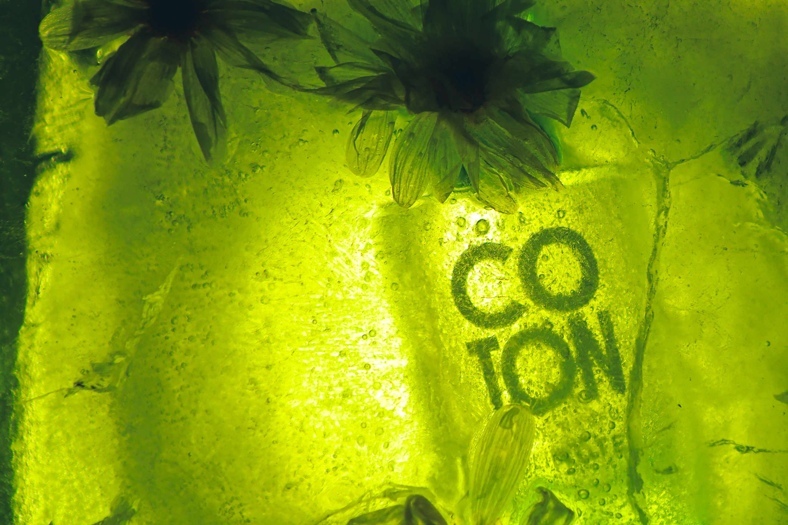 Предметные съемки. Портретный и коммерческий фотограф Даниил Шентелев