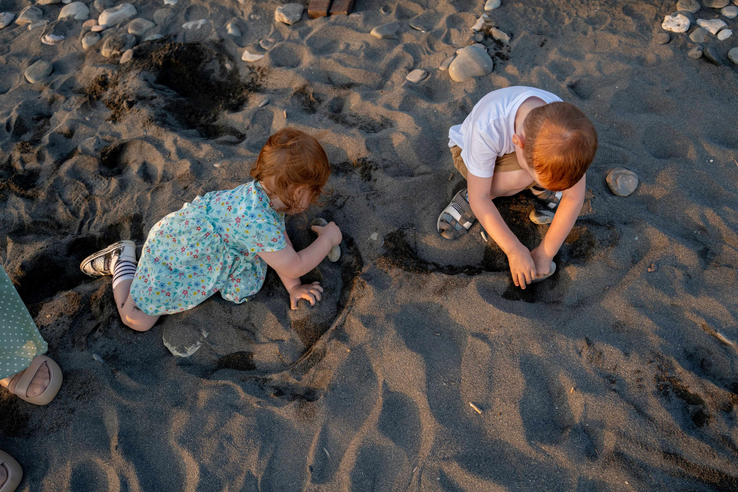 Солнечные лучики. Фотограф Ирина Ликсунова