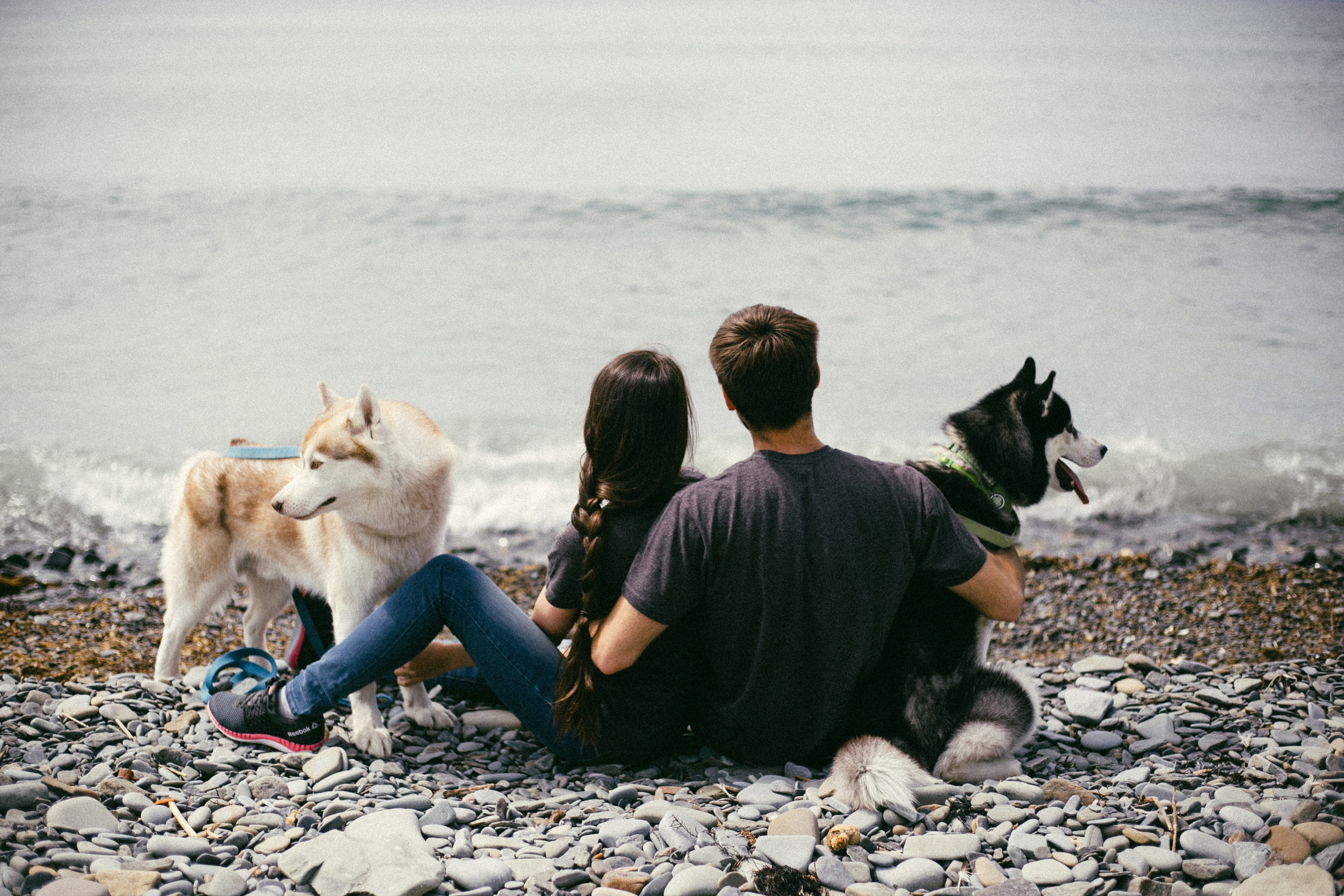 Один чудесный день. Свадебный и семейный фотограф во Владивостоке Овчинникова Дарья