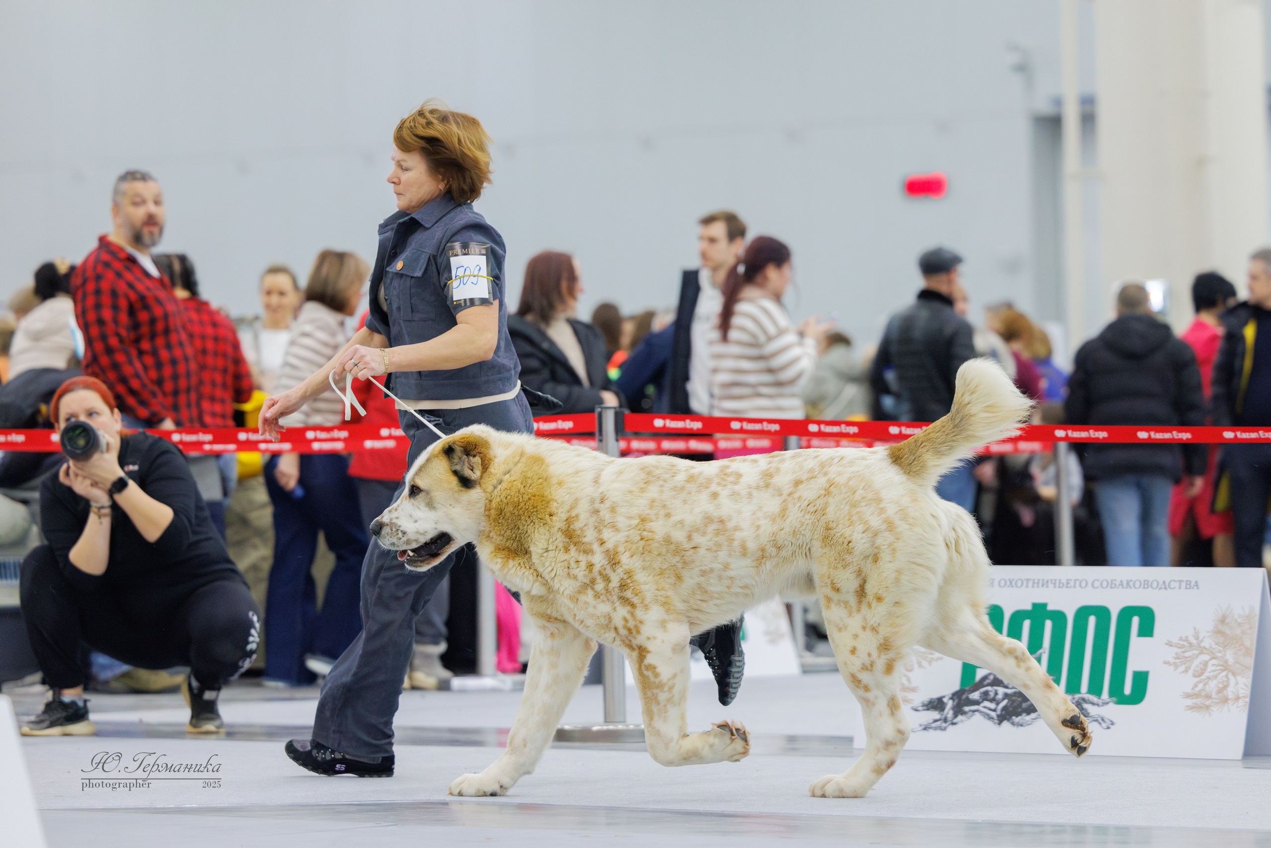 Сабанеевка Казань 25-26.01.2025. Фотограф-анималист Юлия Германика