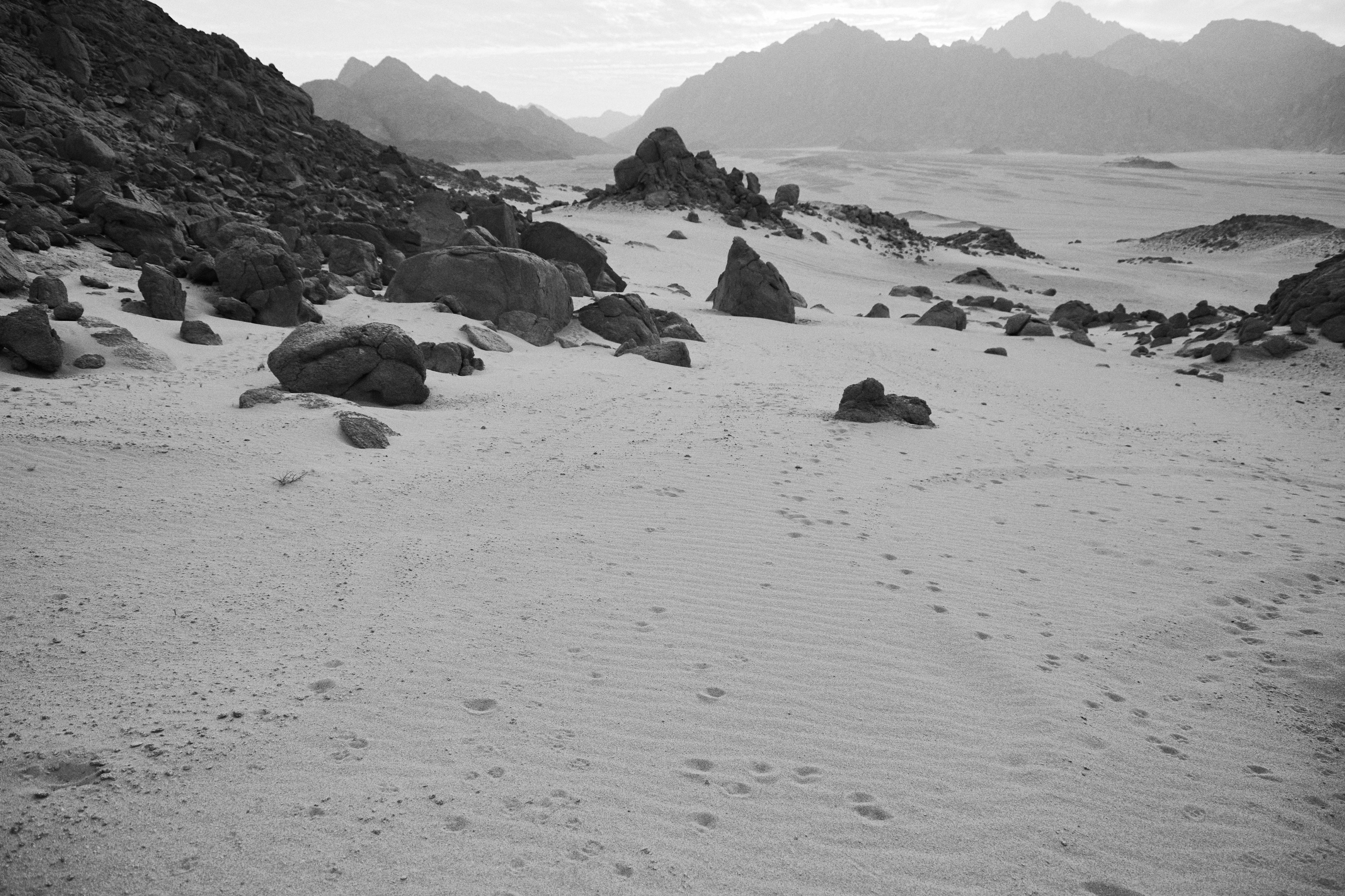 Другое 3. Jorgis — фотограф в Хургаде / обучение фотографии