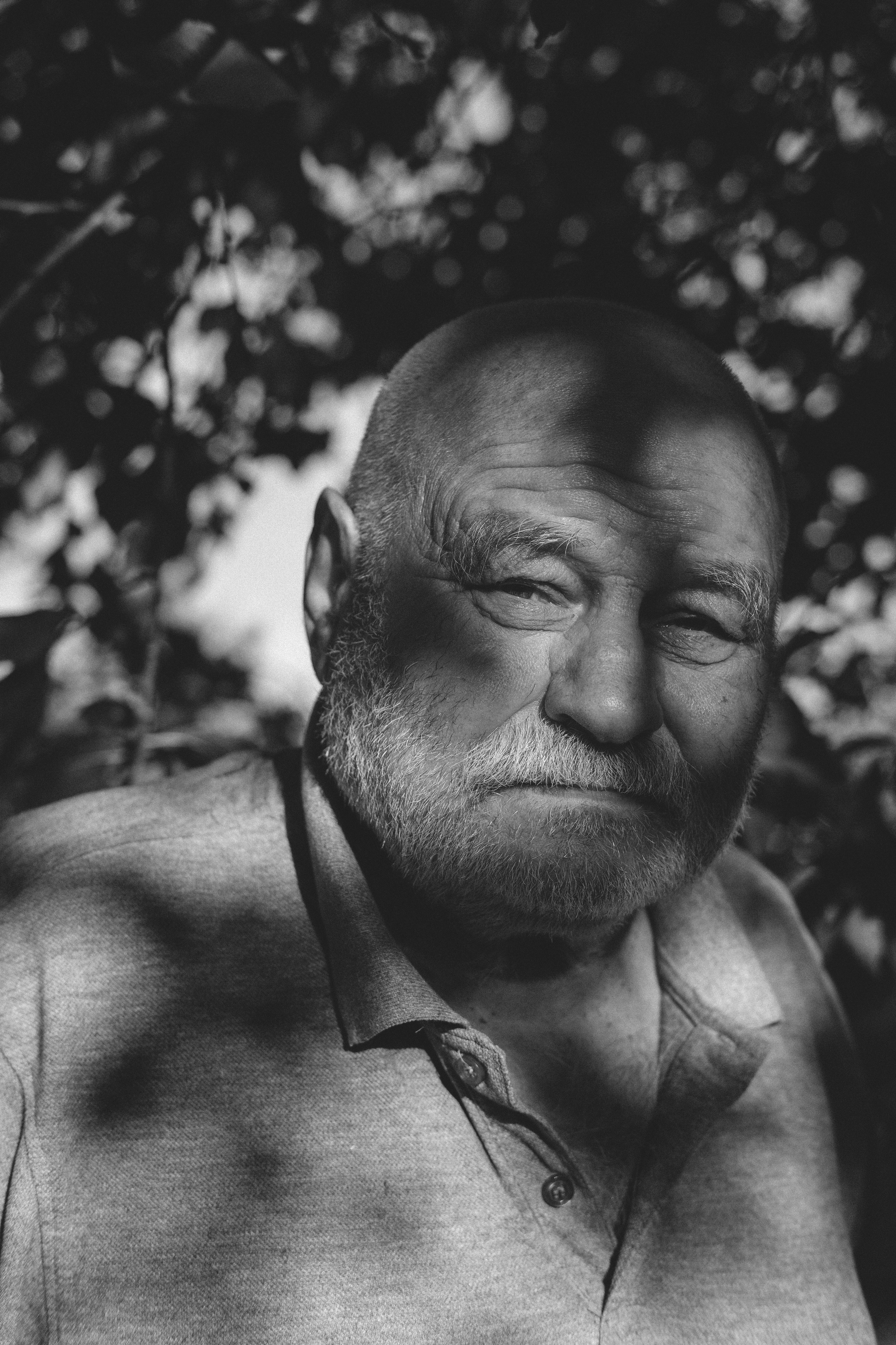 Жизнь сада. Works