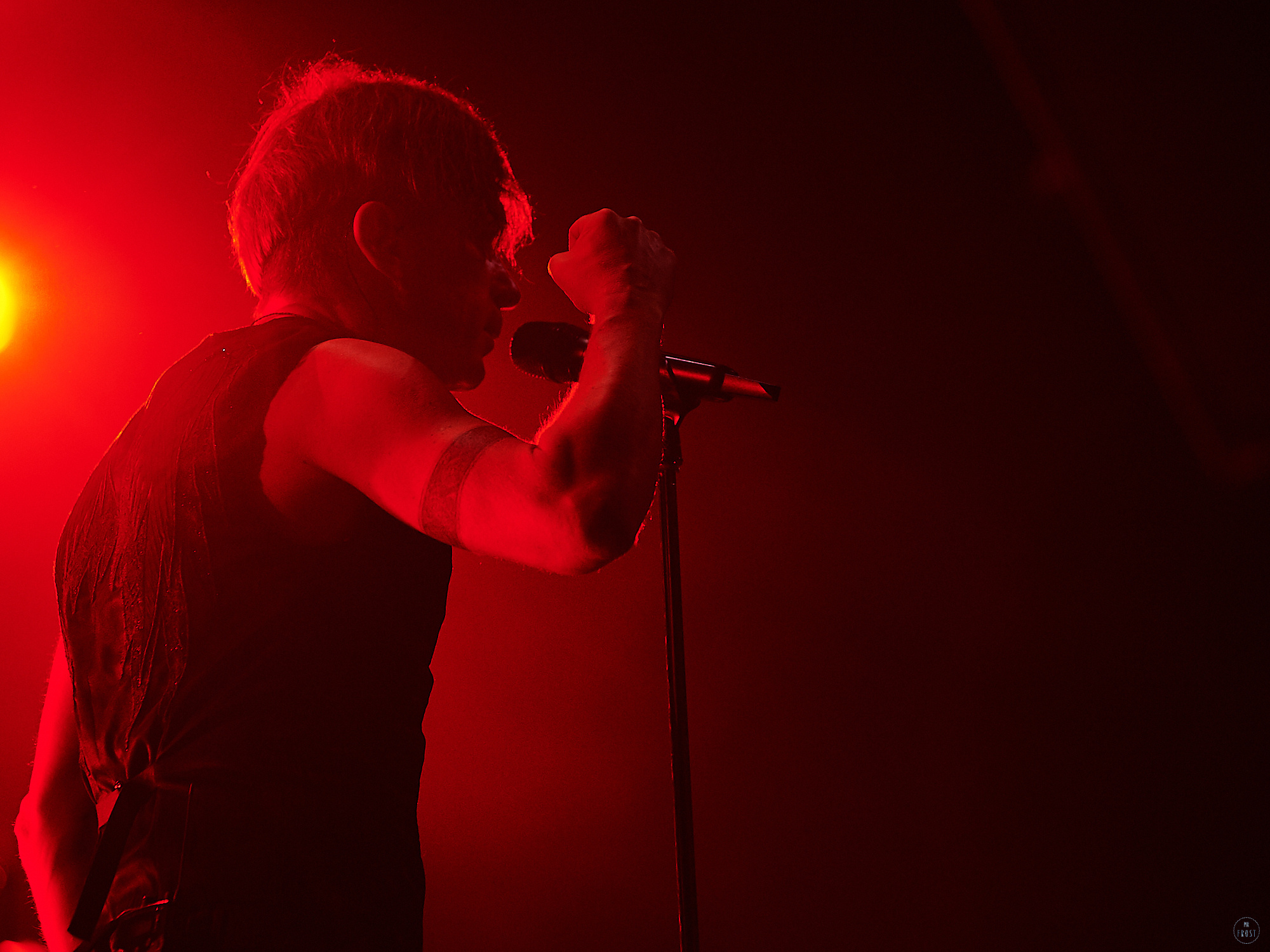 БИ-2. Фотографии отовсюду и обо всем