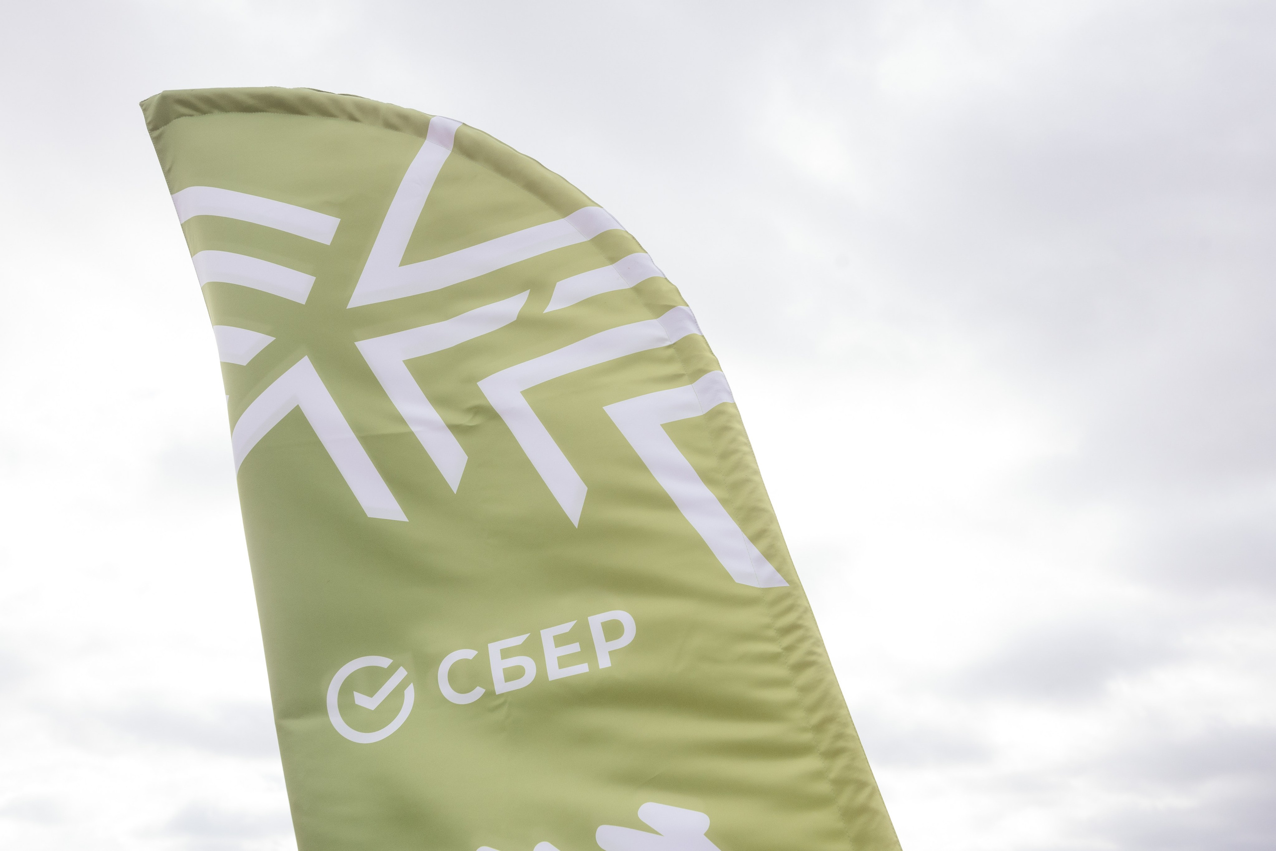 Сохраним лес. Фотограф Крохин Олег