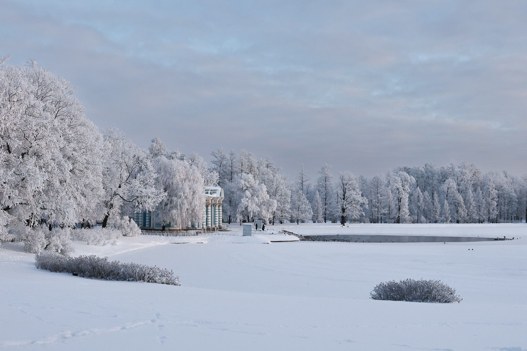 Царское село. Зима. Фотограф портретист в Санкт Петербурге Дроздова Алла