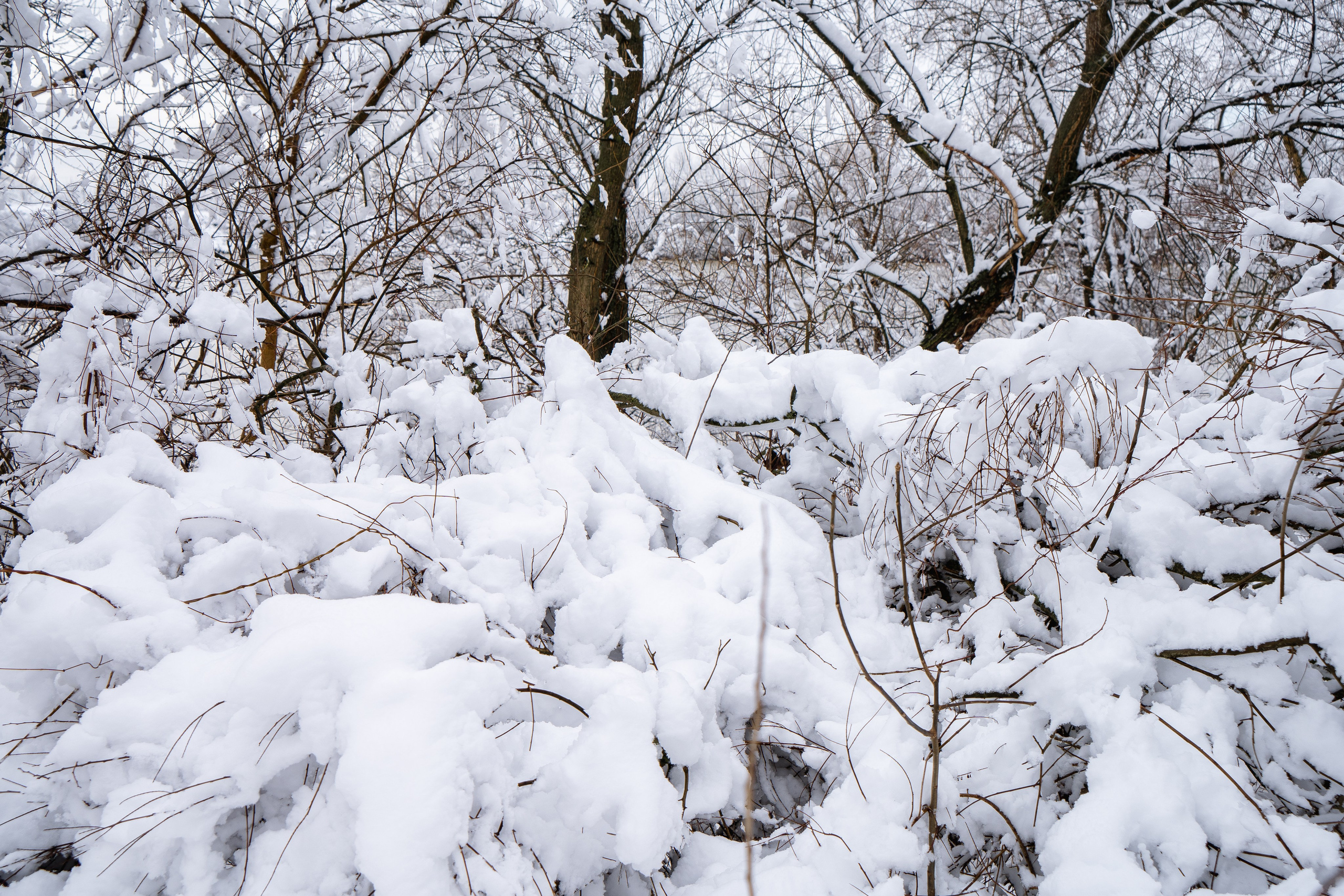 Зима 2024. Свадебный и семейный фотограф/видеограф в Краснодаре Наталья Осинская
