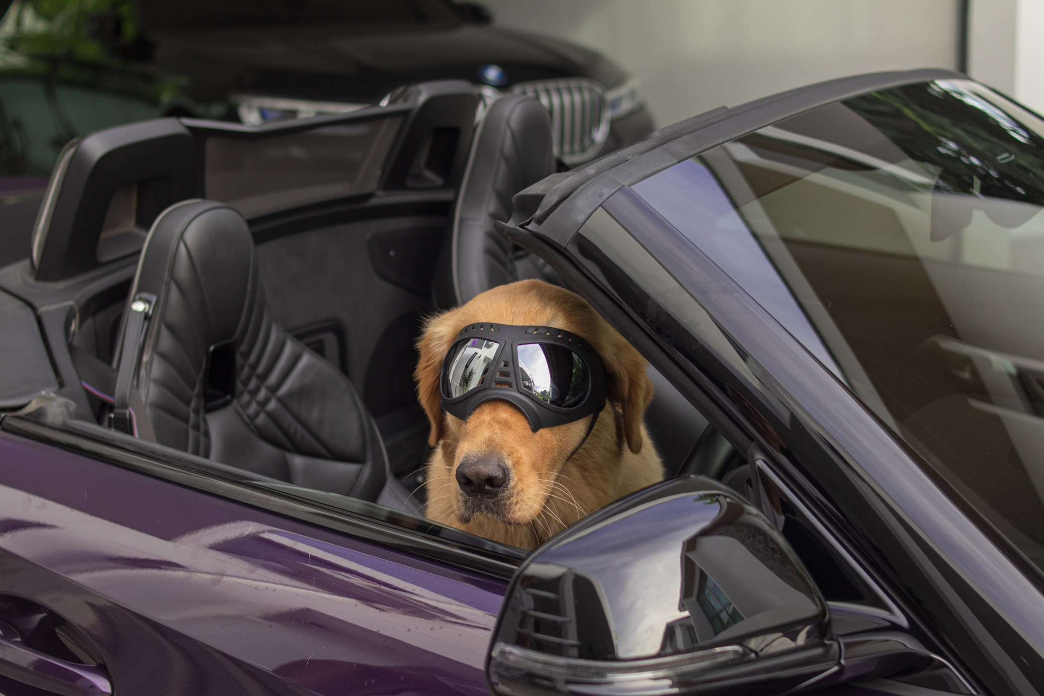 Портретная фотосессия на Пхукете для мужчины