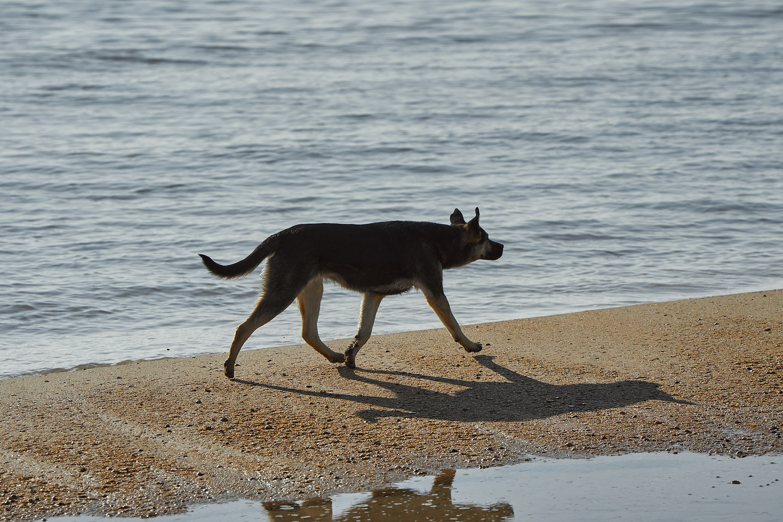Фотографии улиц и пляжей Анапы. Профессиональный фотограф в Анапе Артем Ковальский