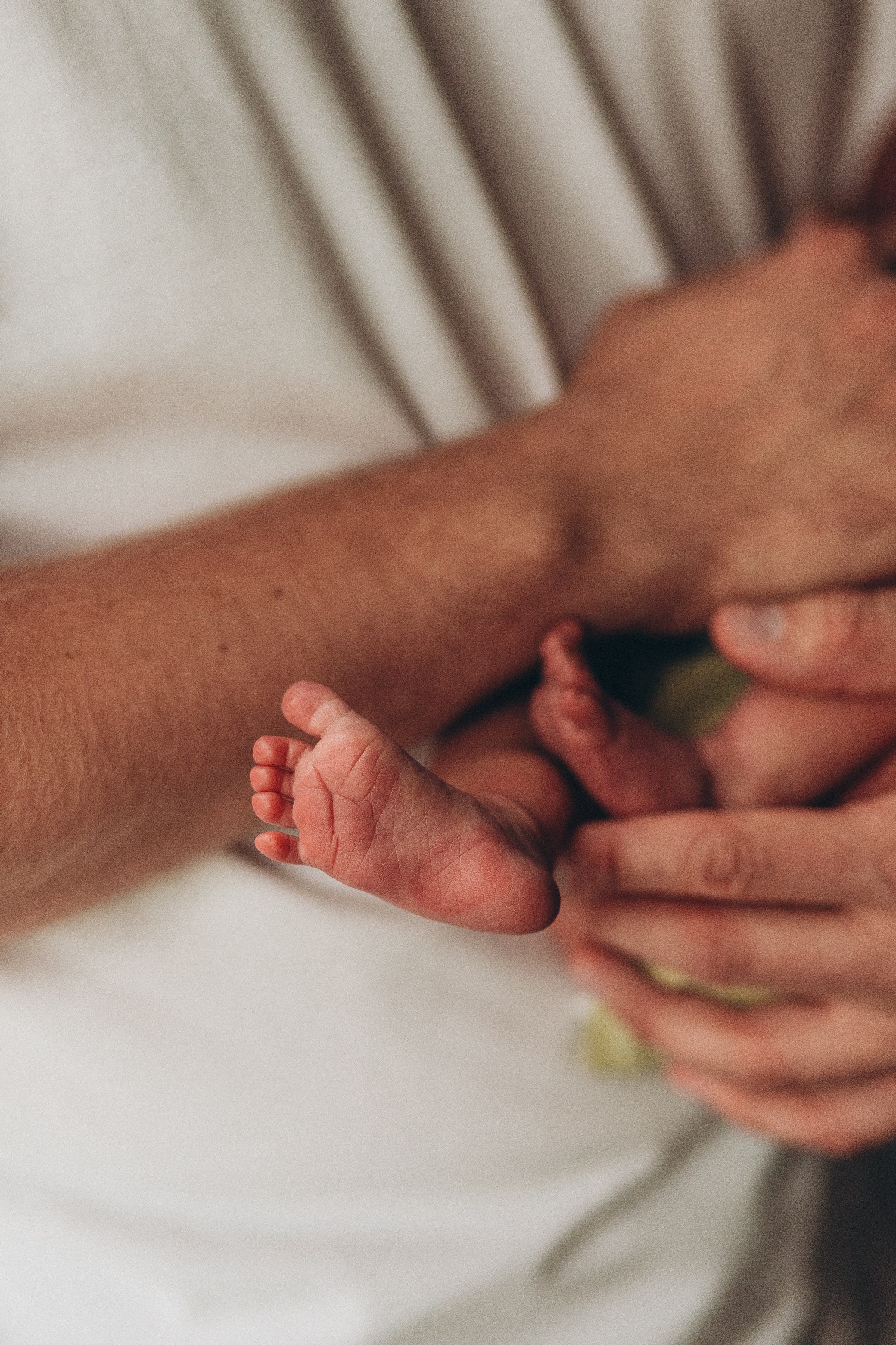Нью борн домашняя. Семейный фотограф в Волгодонске Краченцева Анна