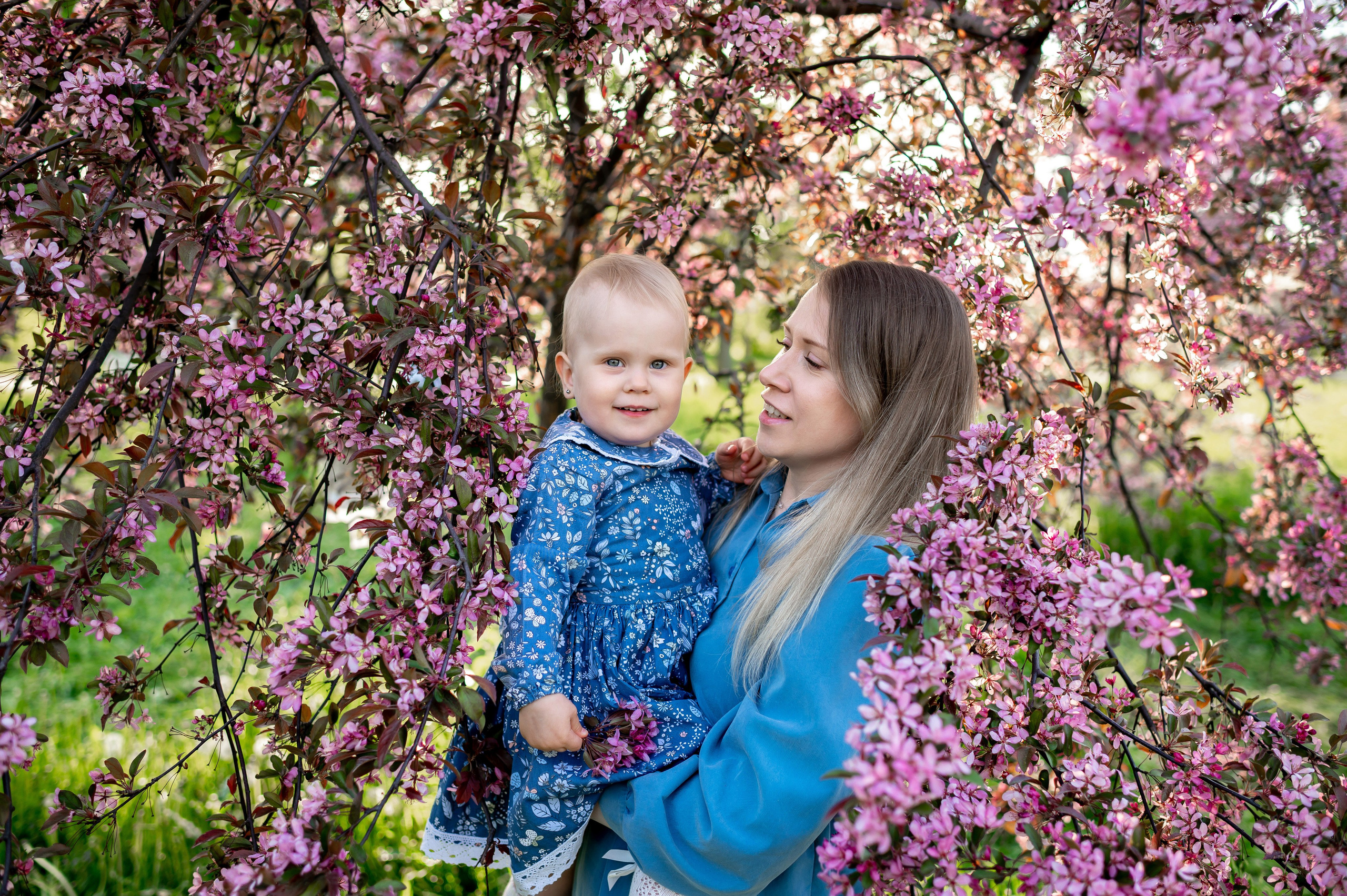 Ника и родители в розовых яблонях. Портретный, семейный и свадебный фотограф в Санкт-Петербурге и в Пушкине Ширяев Денис