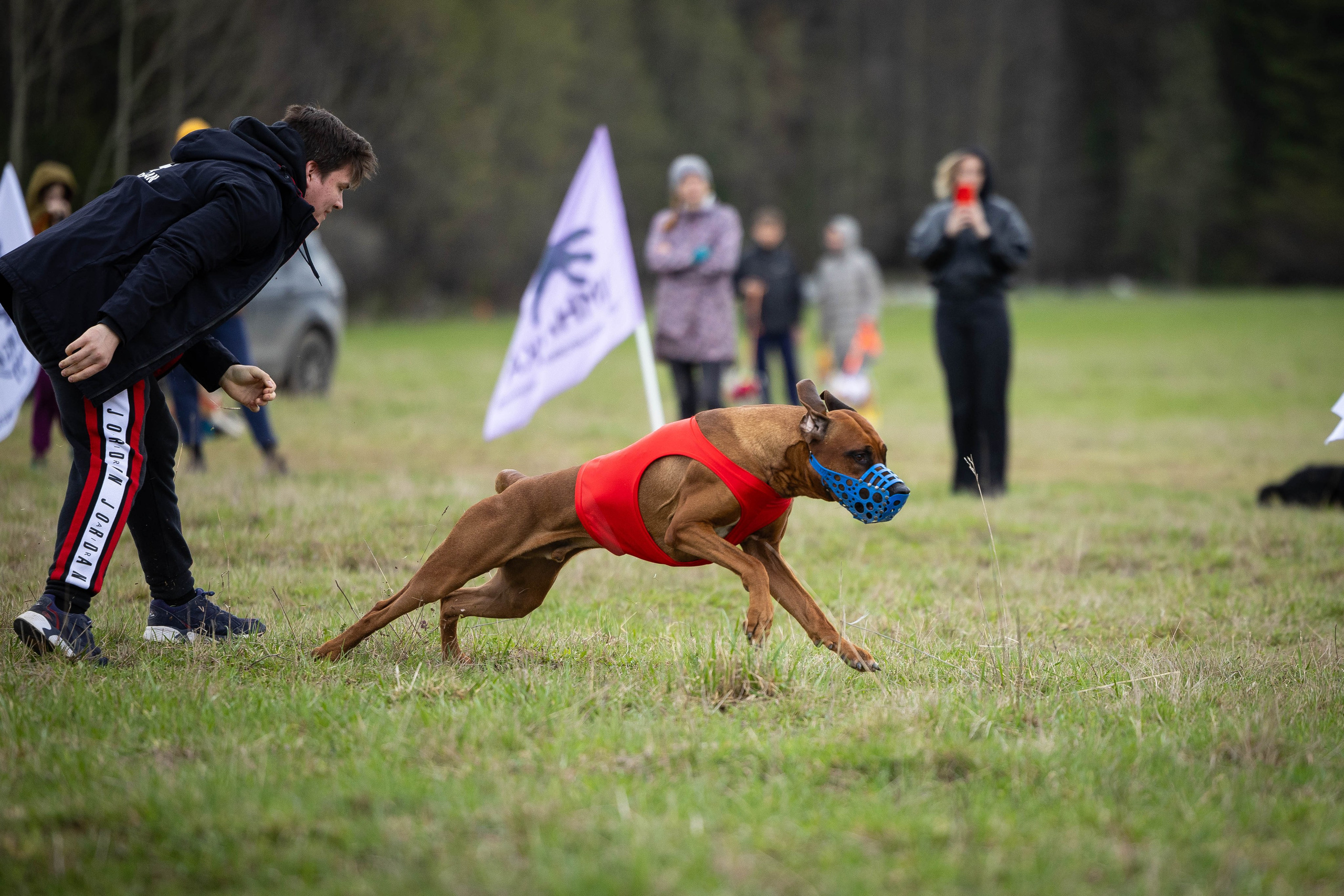 Курсинг. Фотограф Анималист в Перми Анастасия Остерман