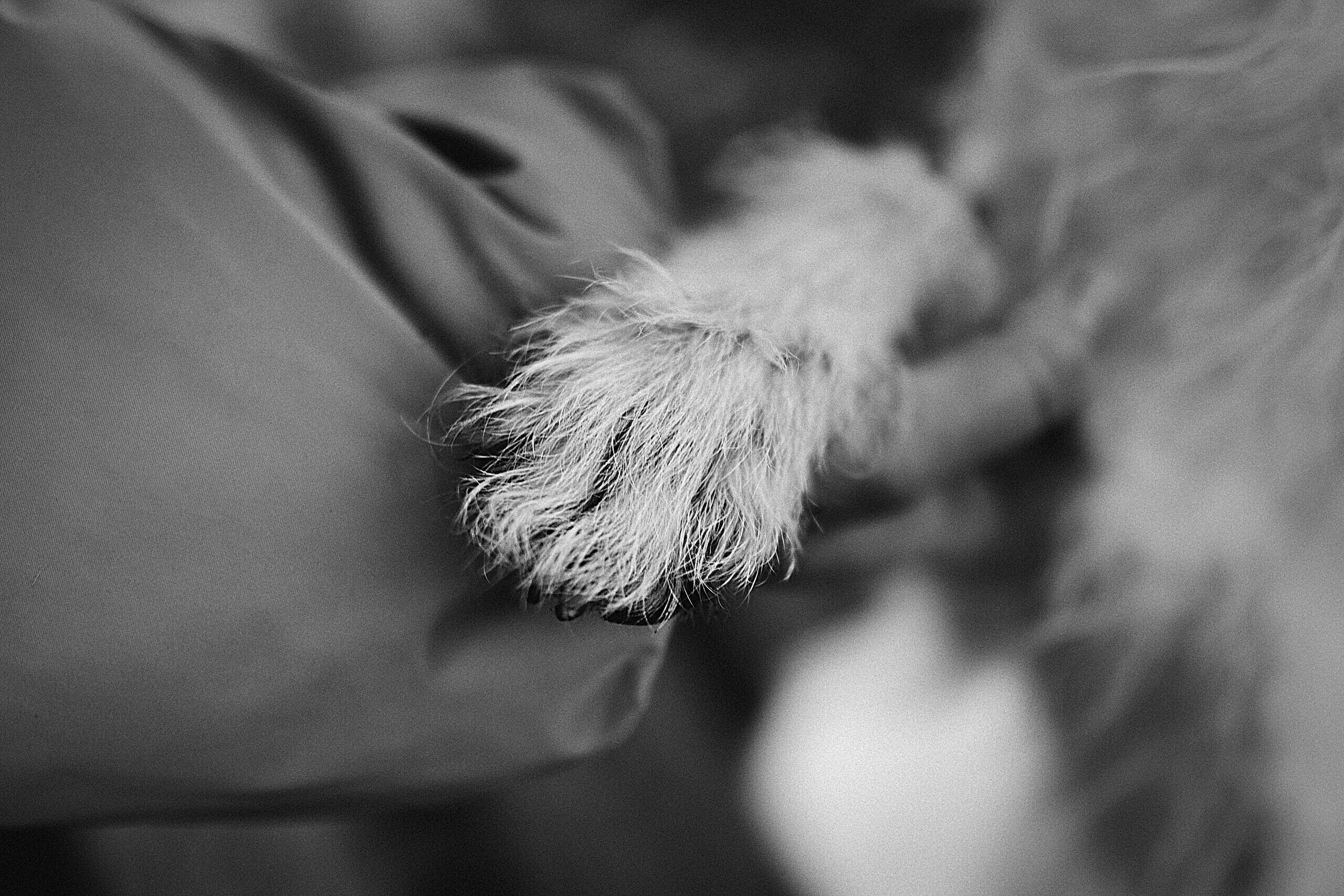 Семейный фотограф в Рязани и Москве Victoria_Kros