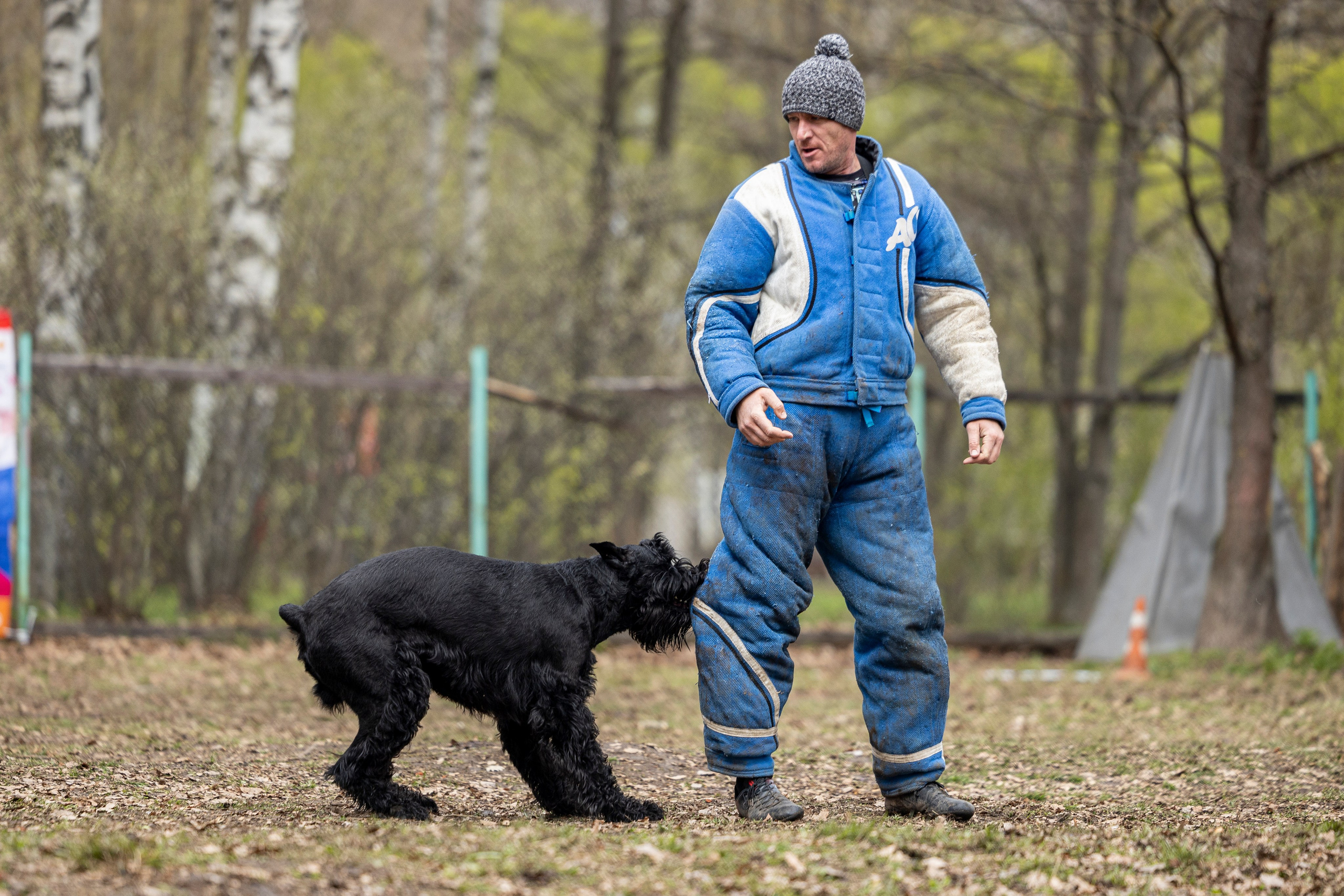 Квалификационные состязания по мондьорингу г. Вологда 11.05.24. Фотограф-анималист Анна Маринич