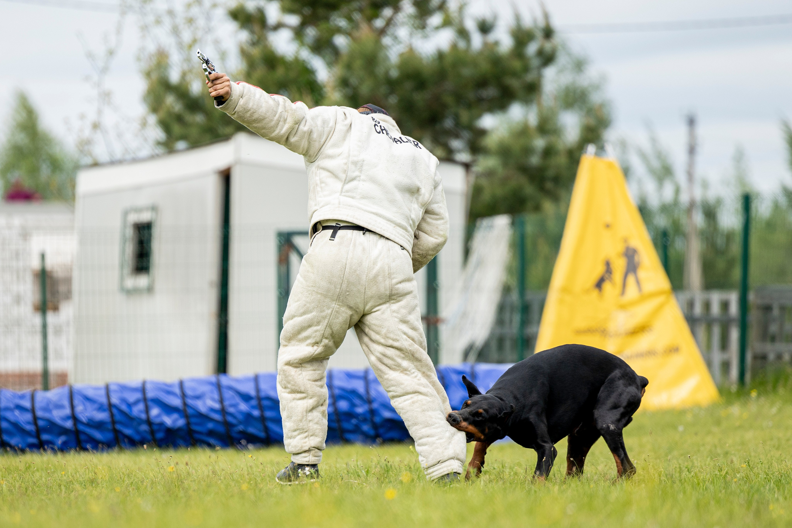 Испытания по мондьорингу в Нижнем Новгороде. Фотограф-анималист Анна Маринич