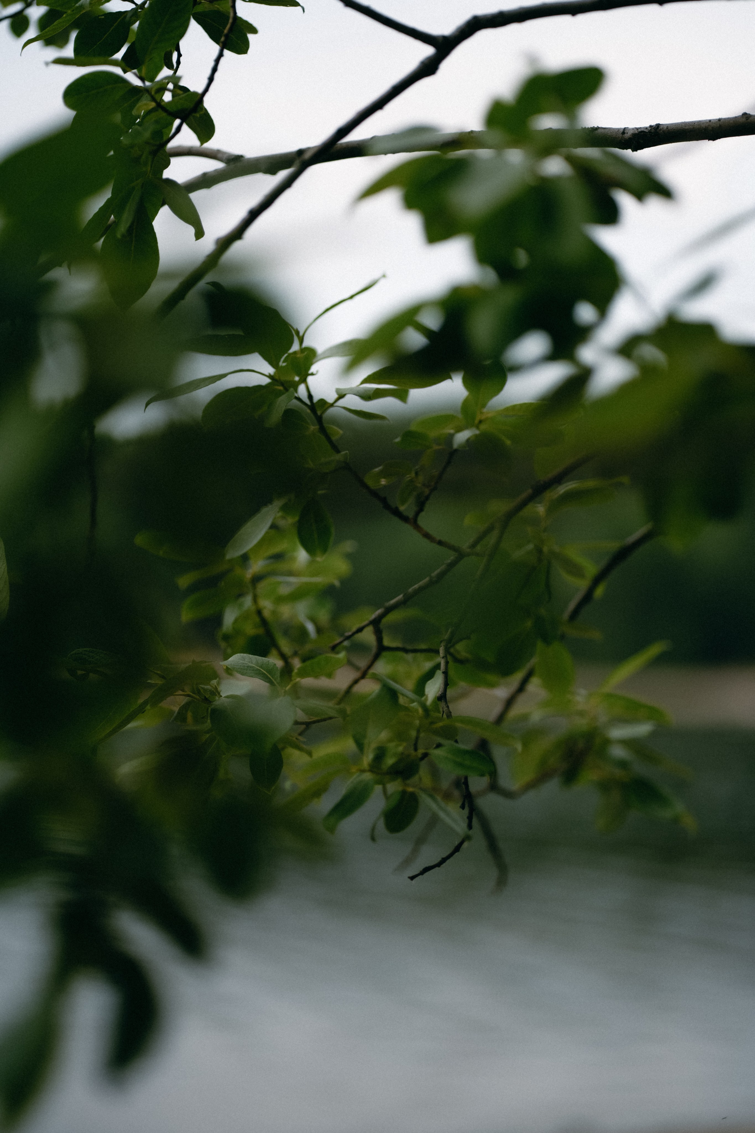 Аня и Тая. Фотограф Перевозкина Анна