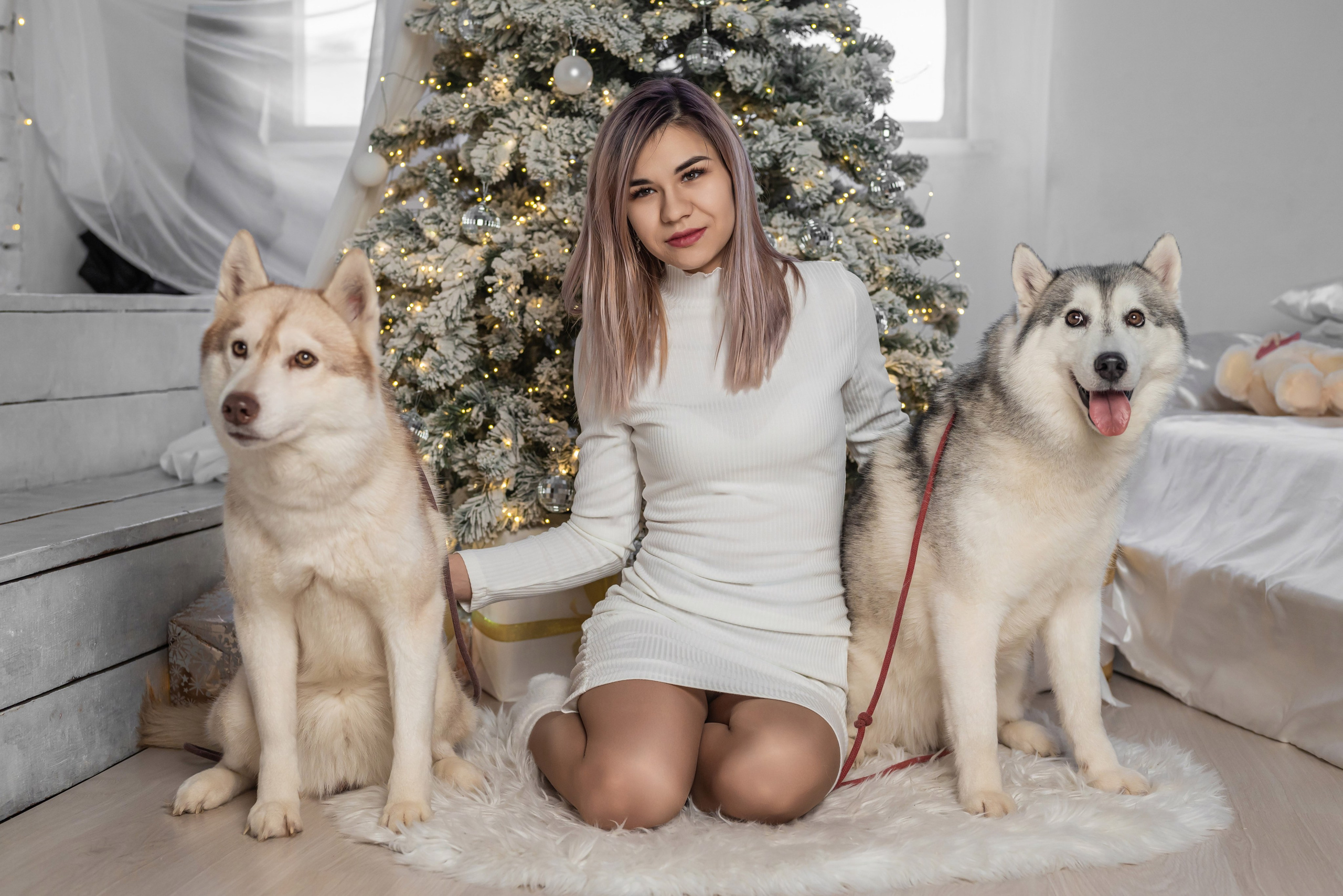 Фотопроект с хаски. Фотограф в городе Салават