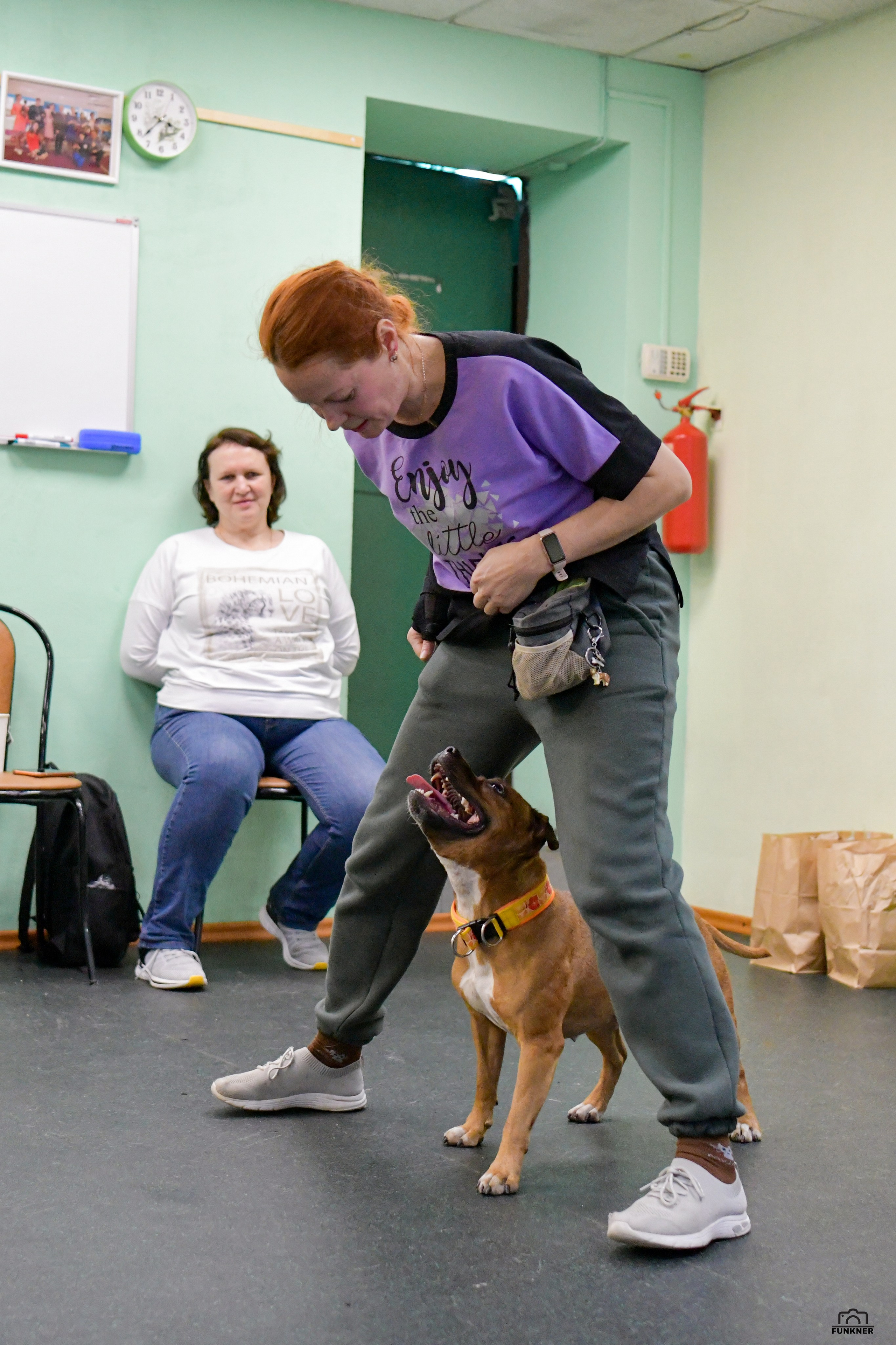 Кинологический клуб «Бодрый хвост». Свой взгляд через объектив