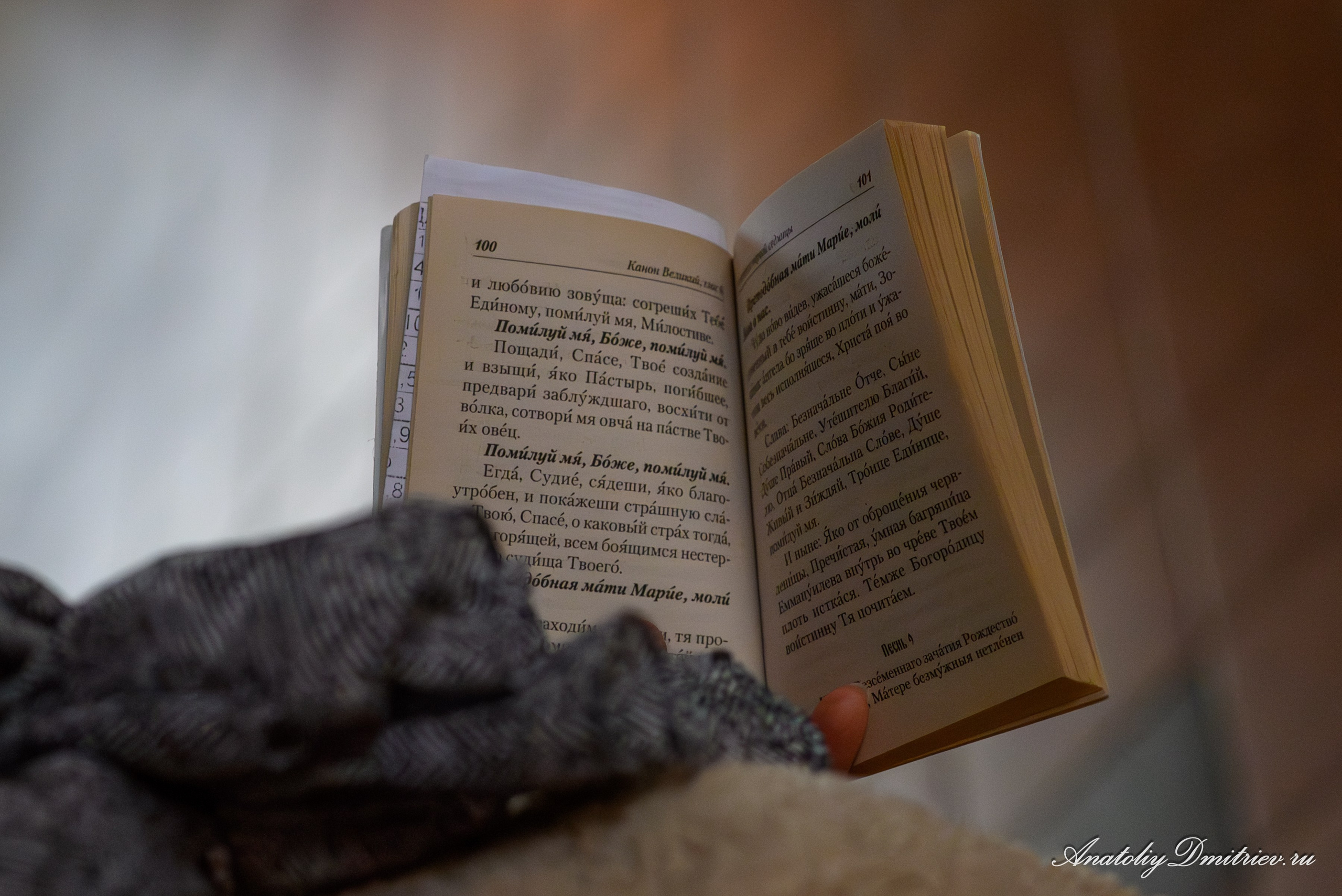 Канон Андрея Критского четверг 2025. Фотограф  Крещения и Венчания Калининград