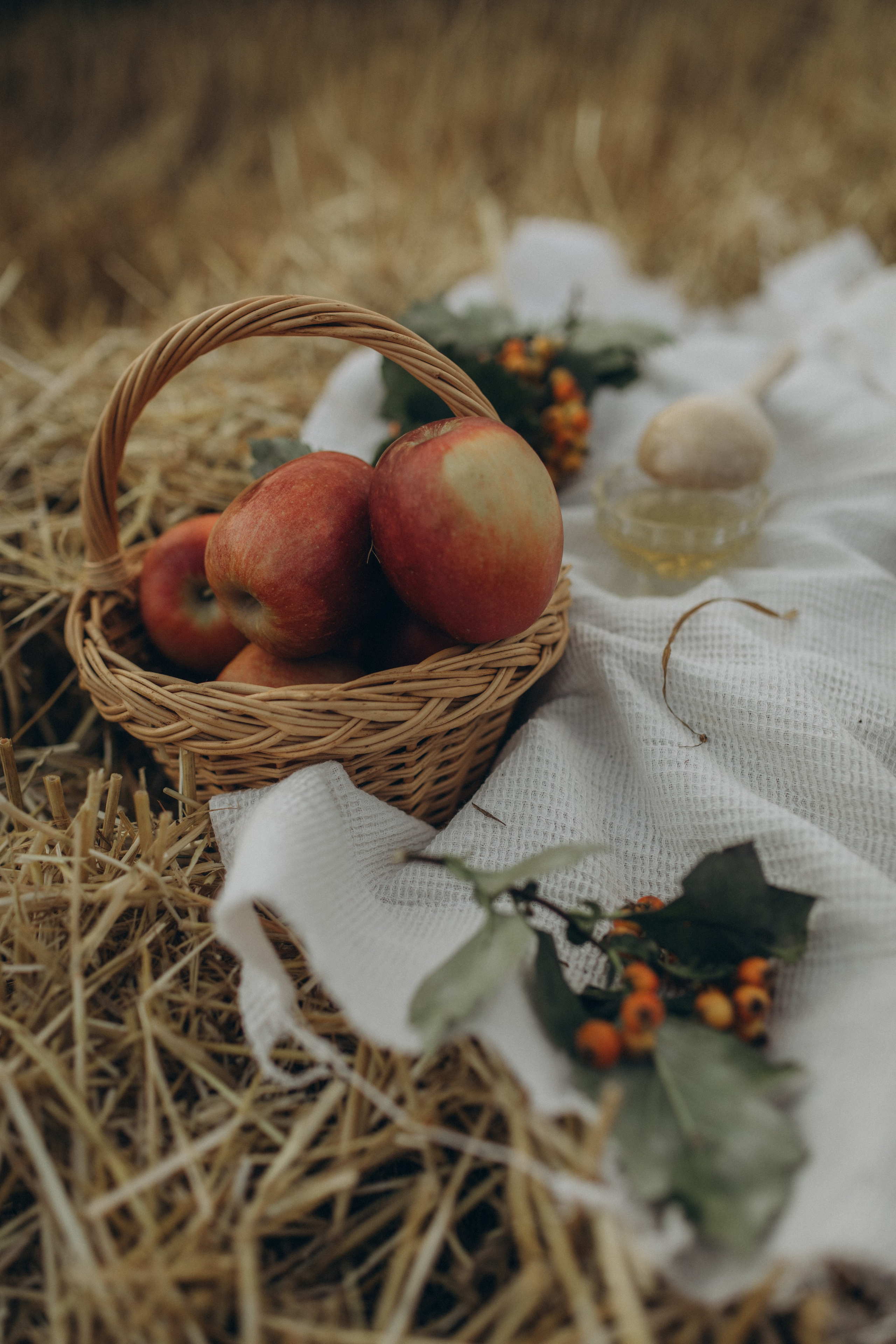 Анфиса. Фотограф Юлия Хакимова / Казань/ Чистополь