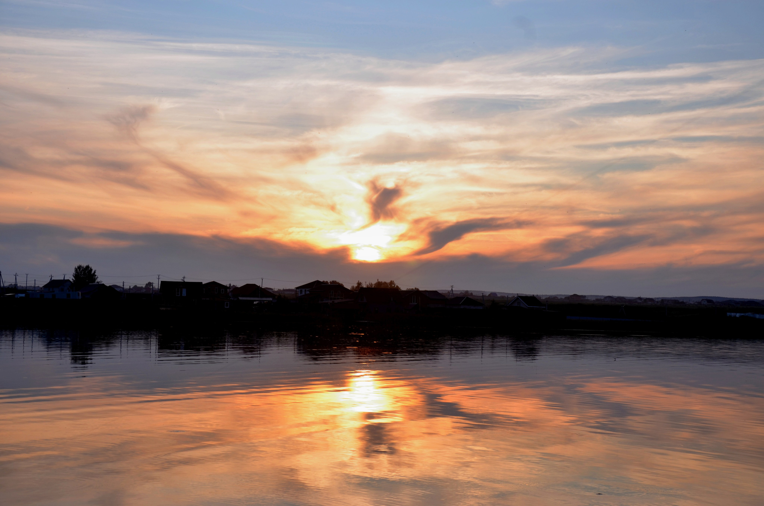 Дары природы. Фотограф viktor viktor