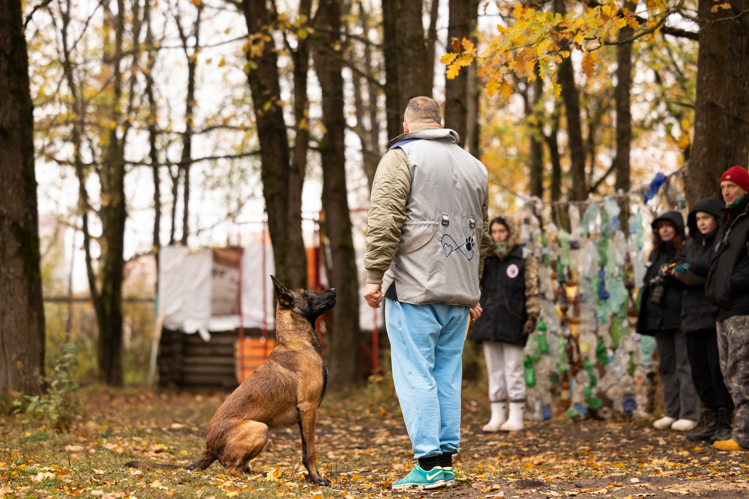 Соревнования по Мондьорингу г. Вологда. Фотограф-анималист Анна Маринич