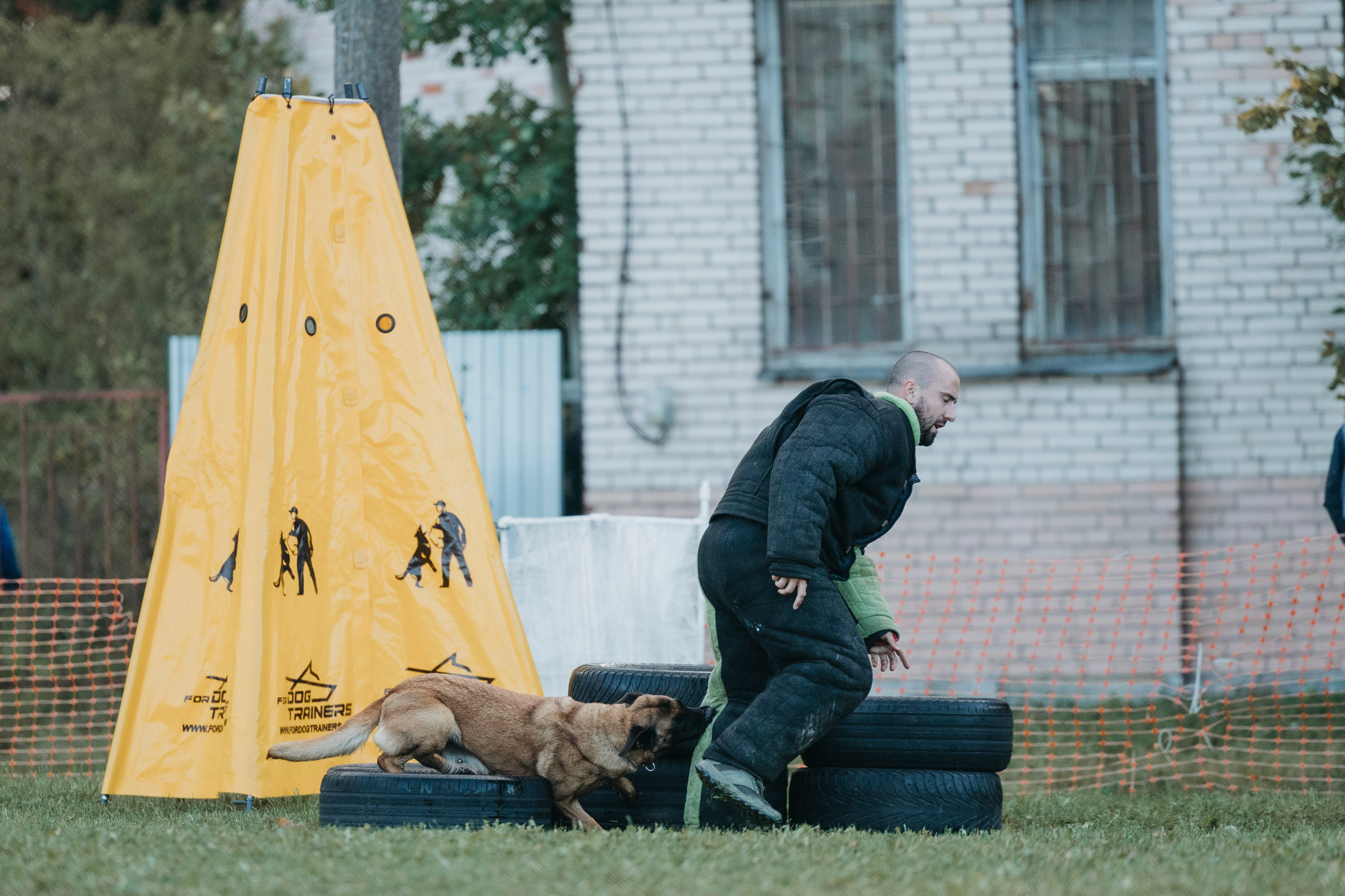 Испытания по мондьорингу г. Пушкин 29.09.2024. Фотограф-анималист Анна Маринич