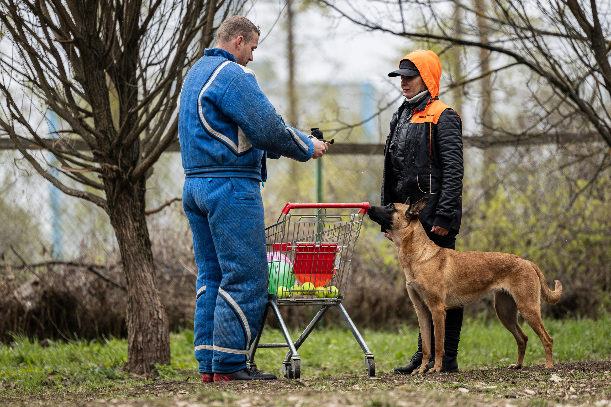 Квалификационные состязания по мондьорингу г. Вологда 11.05.24. Фотограф-анималист Анна Маринич