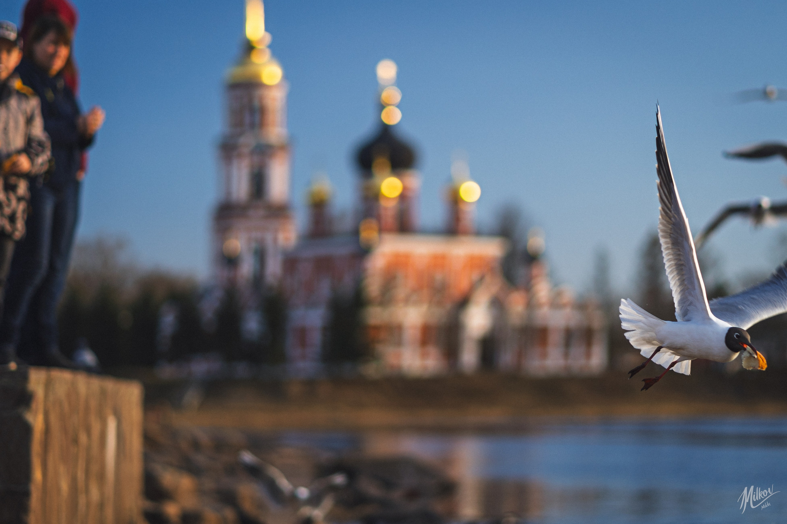 Стрит фото. Mikoff — Воспоминания и эмоции неподвластные времени