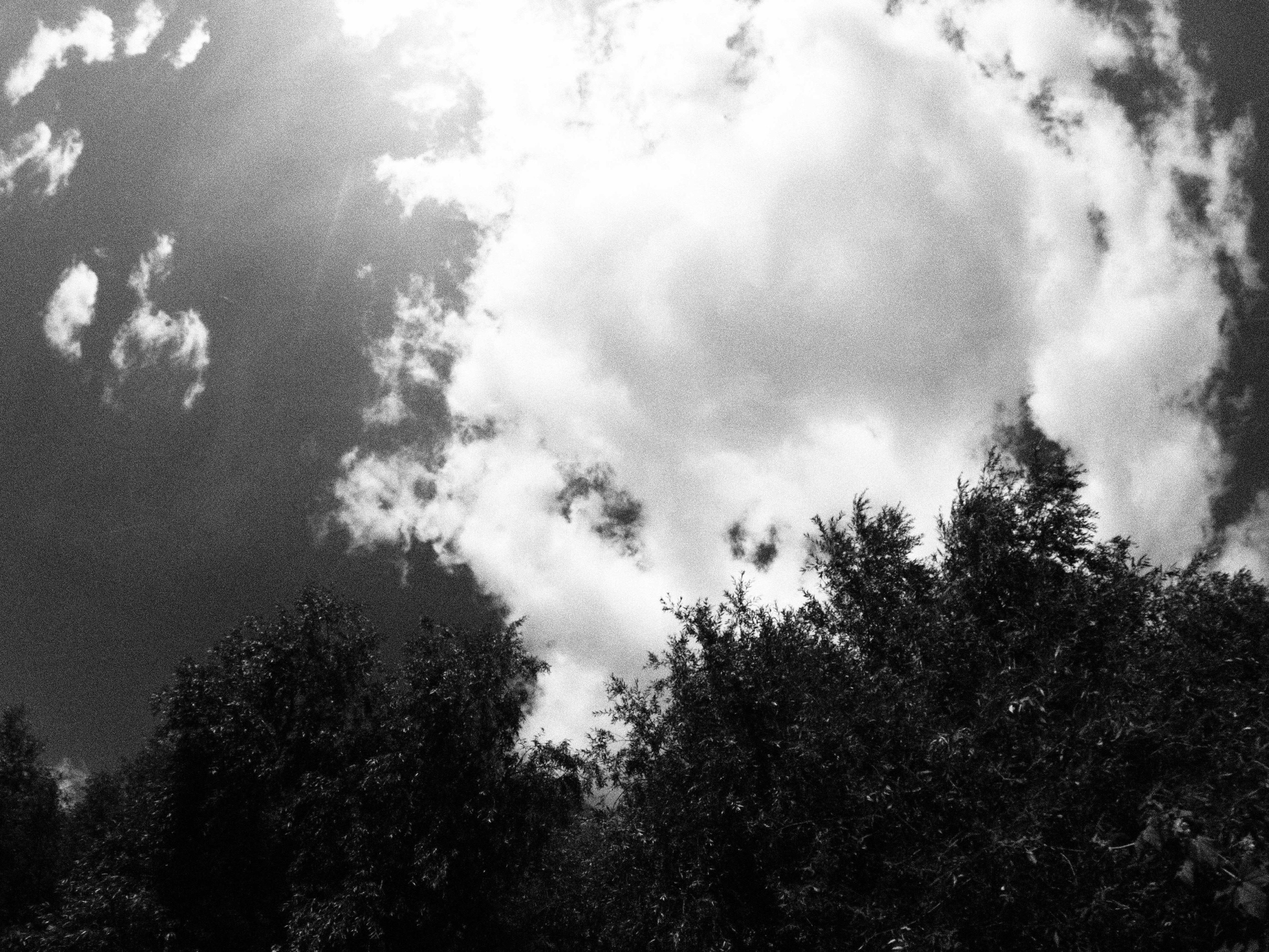 Промежуточные моменты (2023)