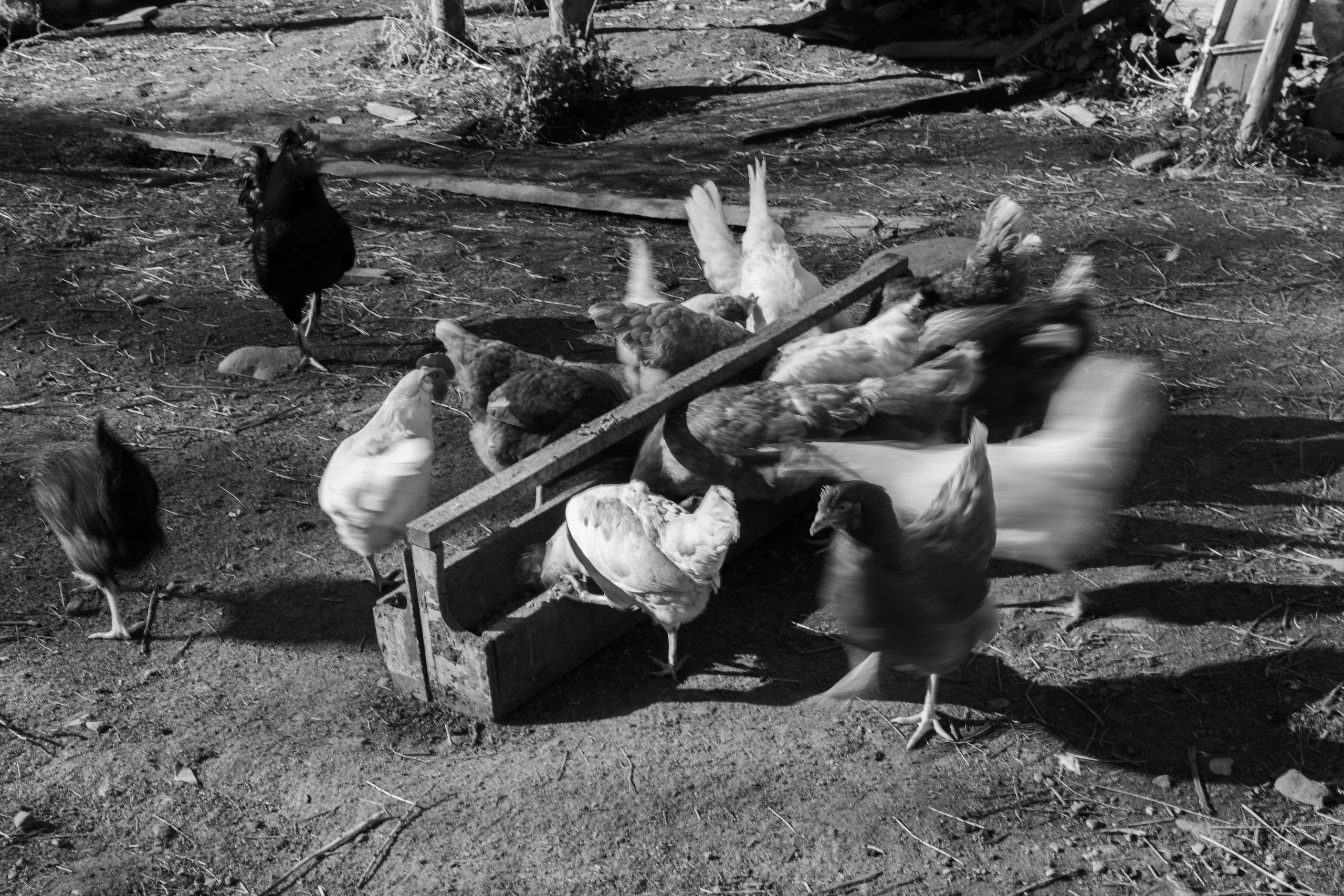Хранитель лесов. Портретная фотосъёмка, репортажная, контент для вашего бизнеса