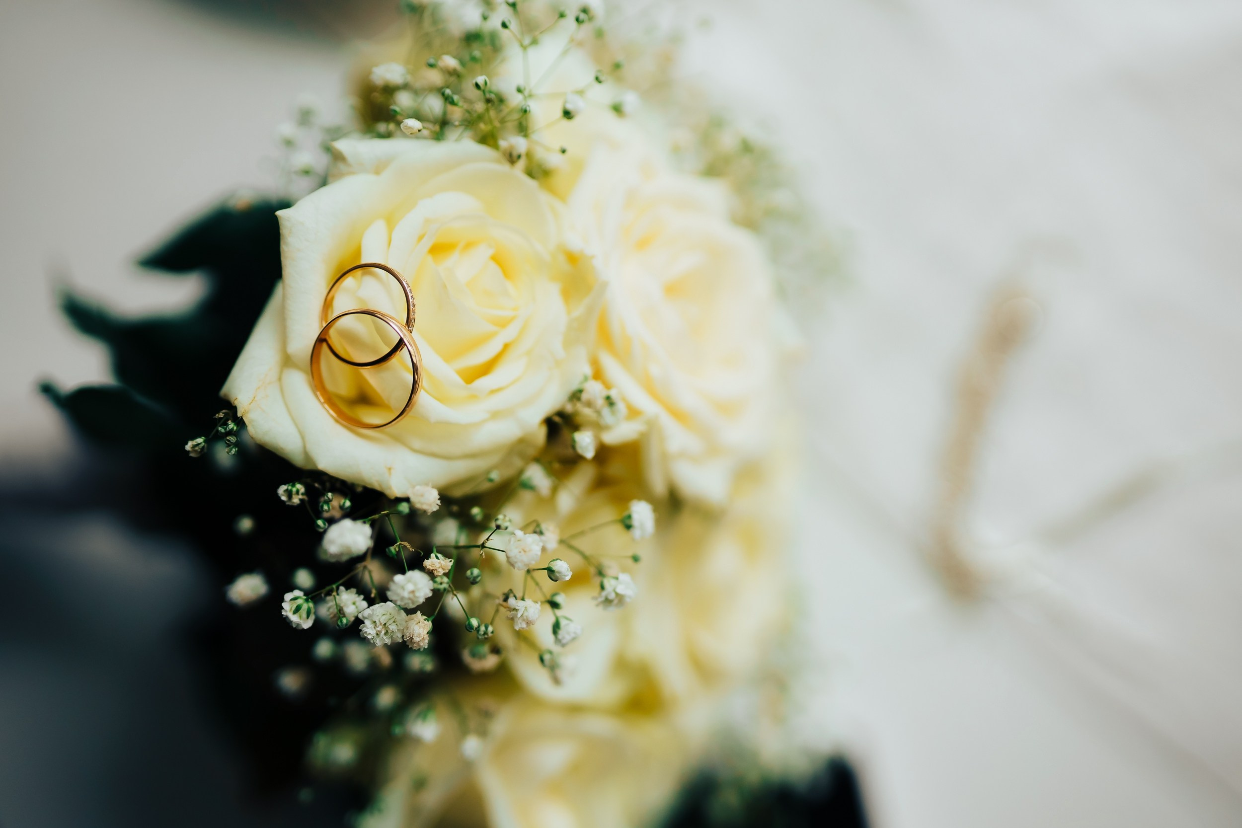 Свадьба Макса и Насти. Ваш свадебный и семейный фотограф