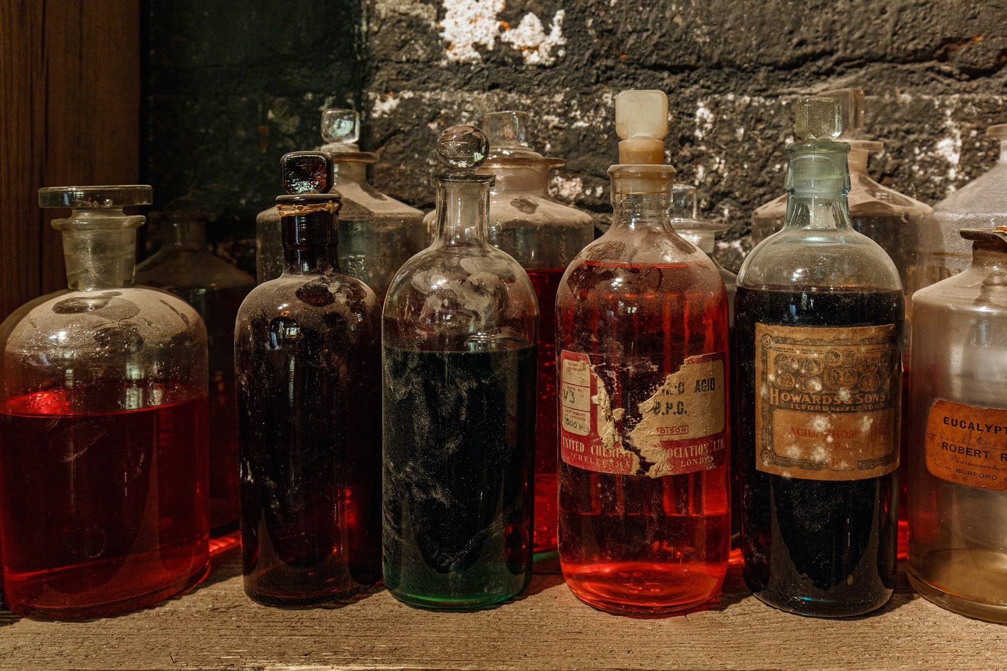 Black Swan. Photographer Ksenia Kolesnikova. Interior, Product, and Portrait Photography in Moscow