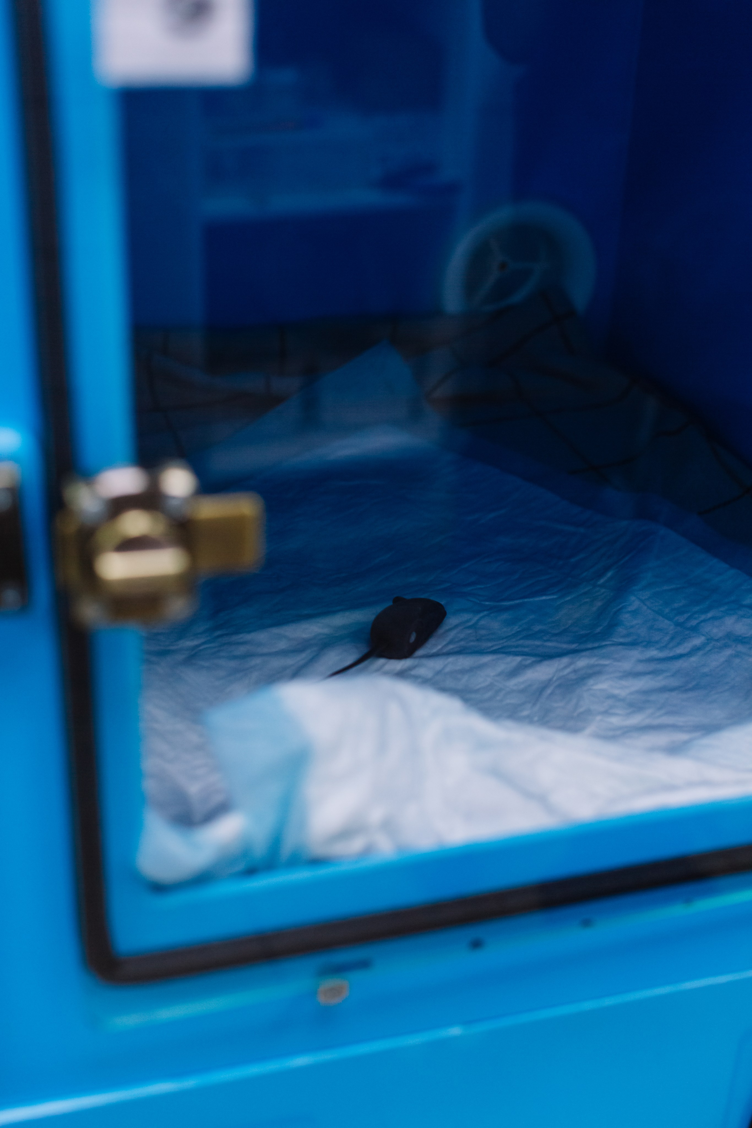 Контент съёмка. Семейный и детский фотограф в Новосибирске Алёна Малахова