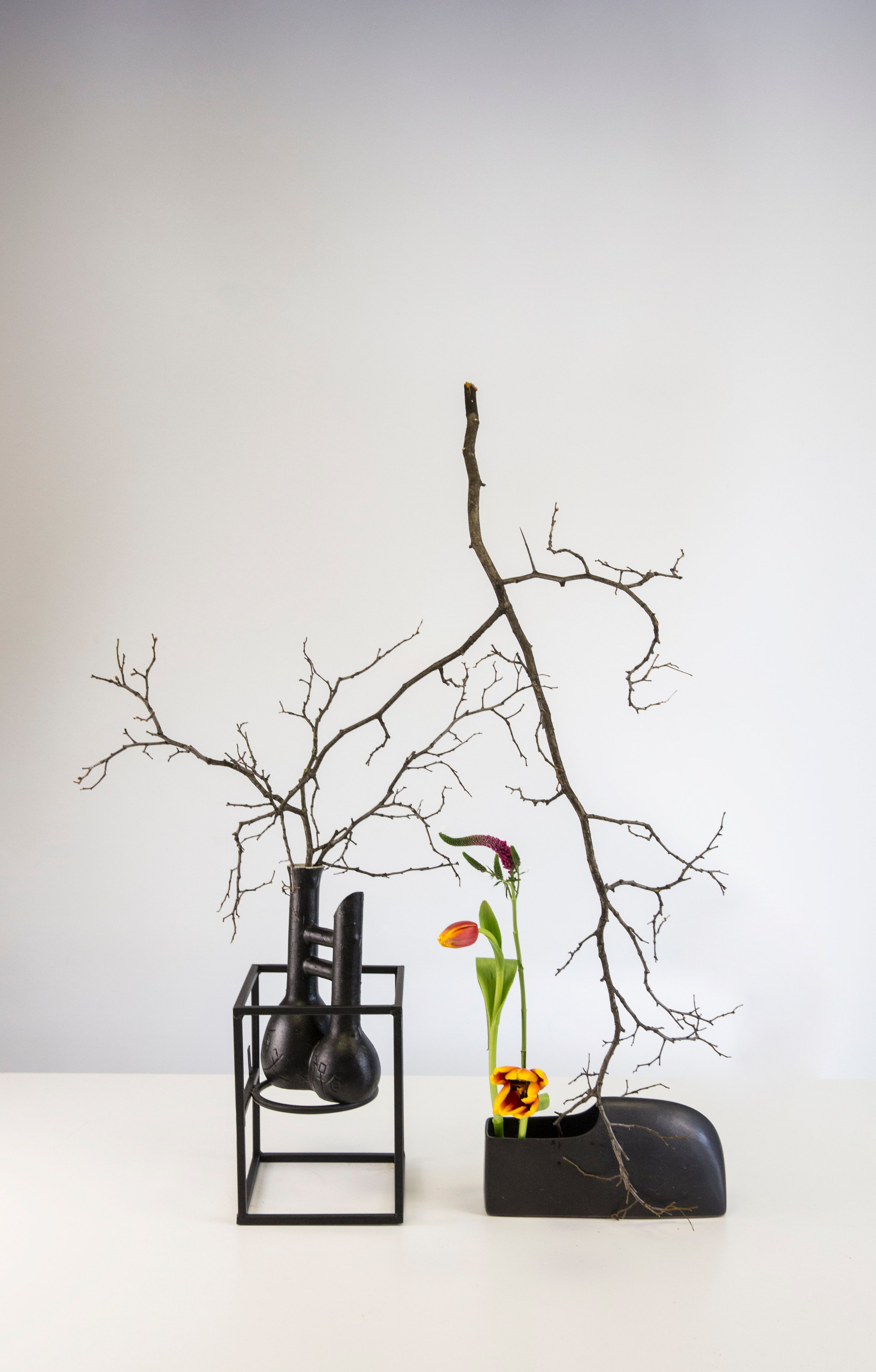 Икебана Барне. Фотограф Анна Барне