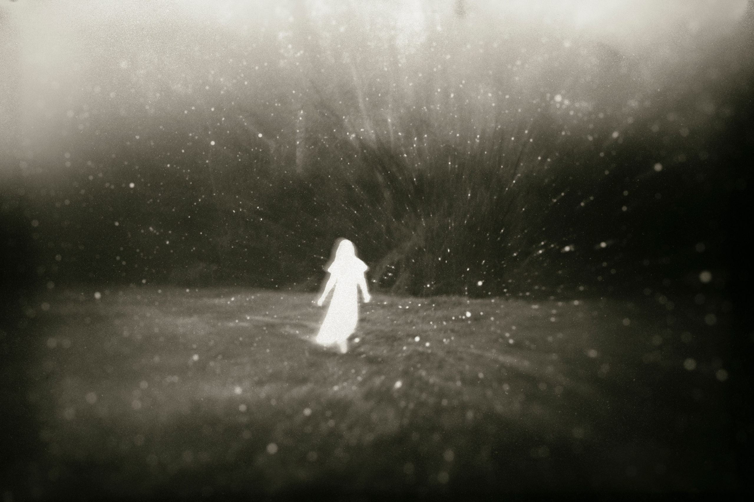 Child of the forest. Visual artist