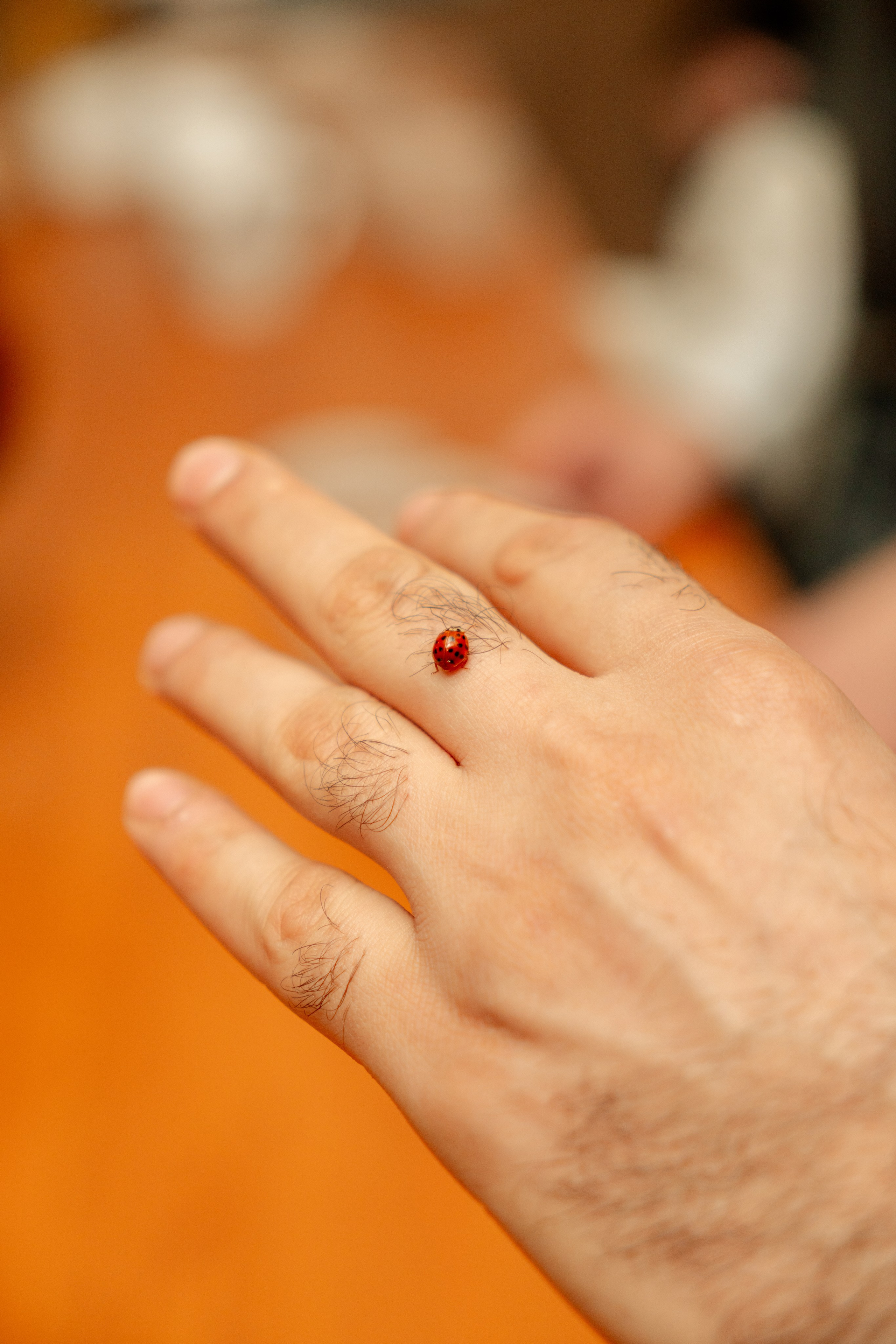 Ферма Основание 2. Фотограф г. Тольятти