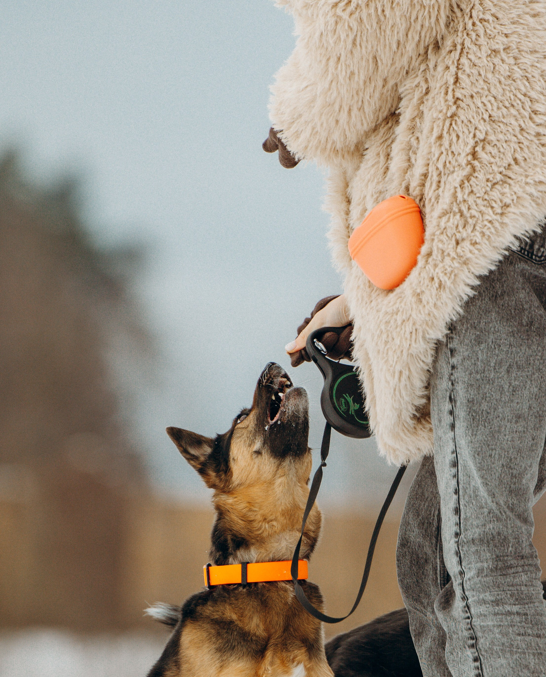 Ника, Матиша и Герда. Фотограф-анималист в Москве Лера Черноног