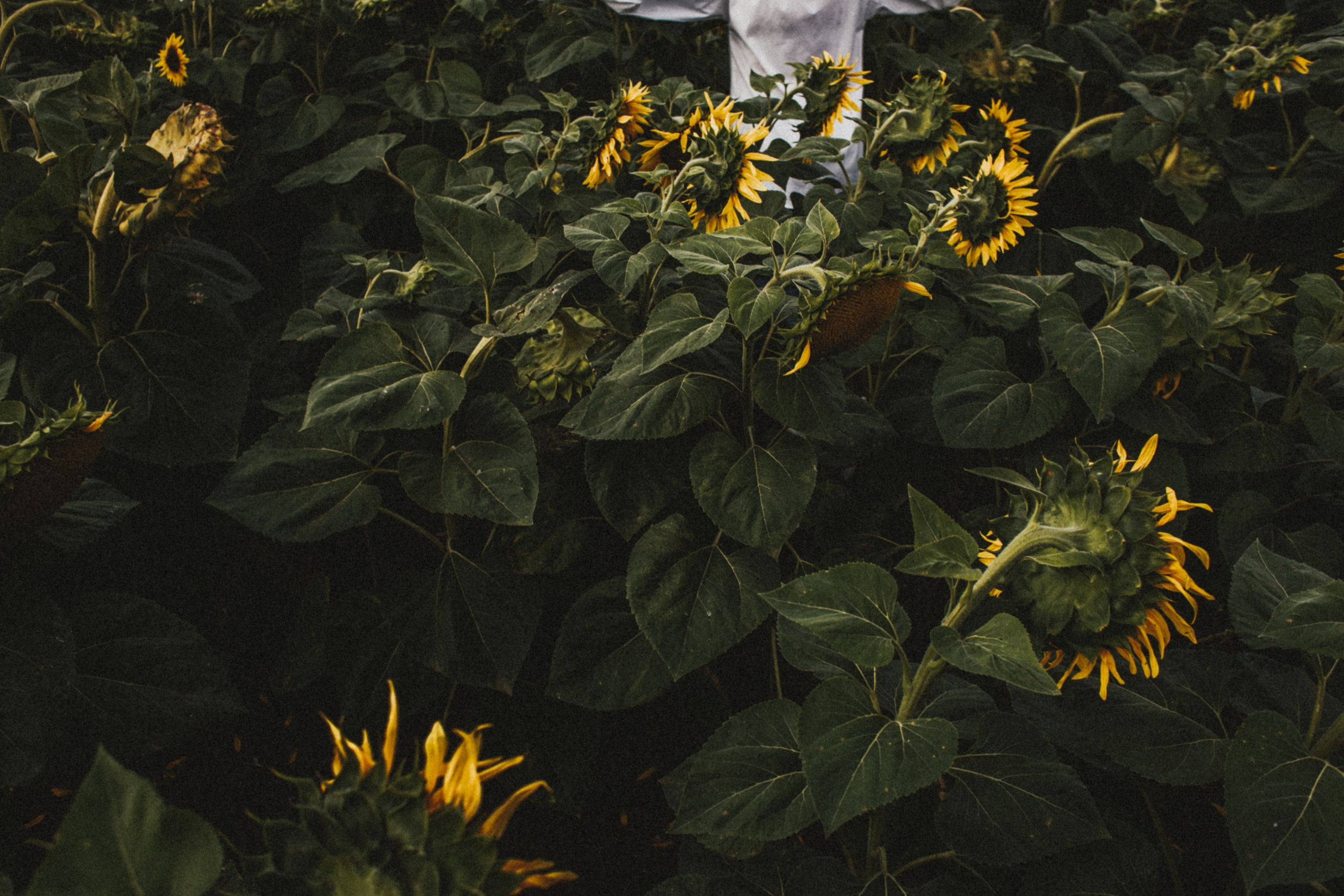 Катя Саратов. Фотограф в Нижнем Новгороде