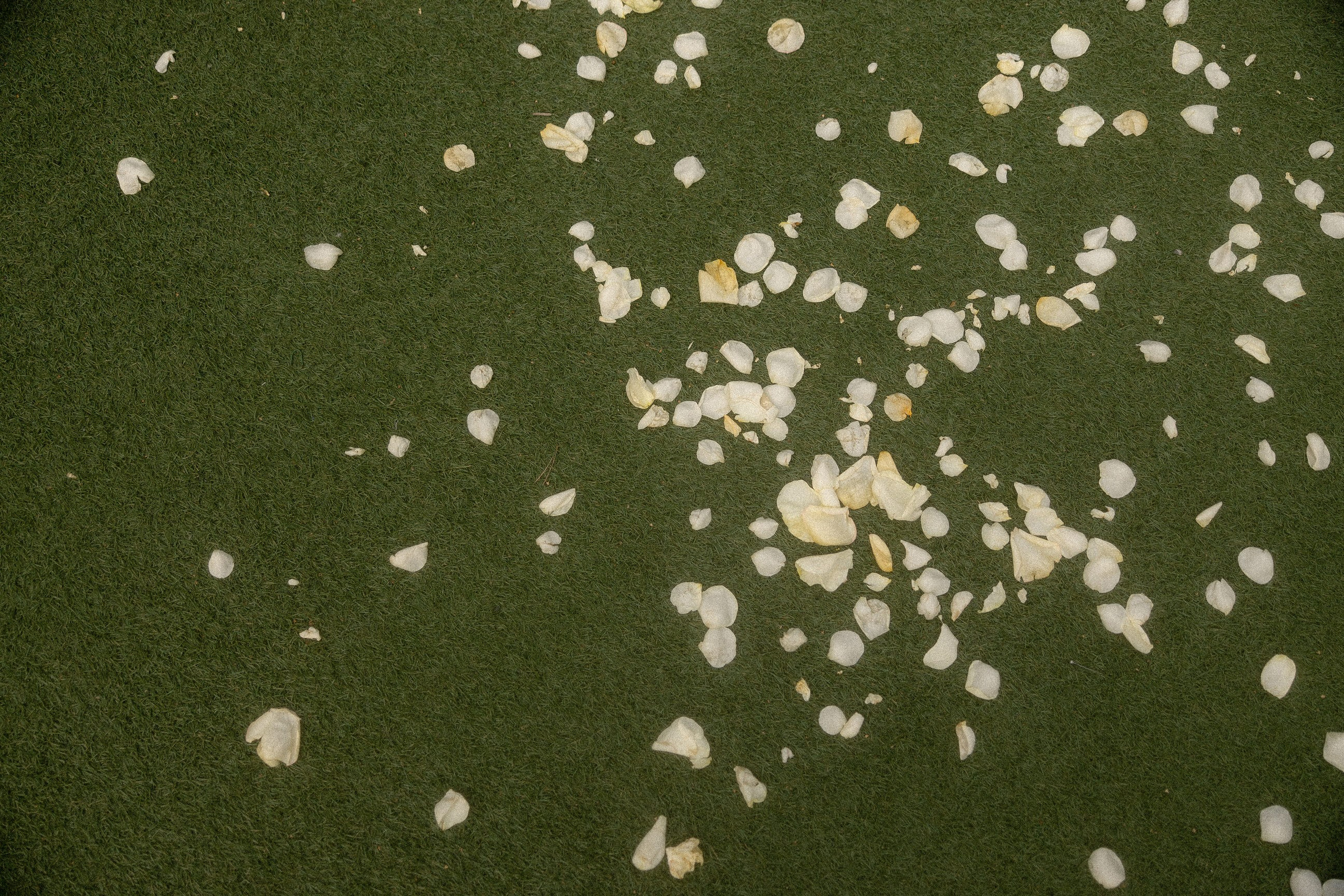 Валерия & Семён. Yura Rush Свадебный фотограф Тюмень