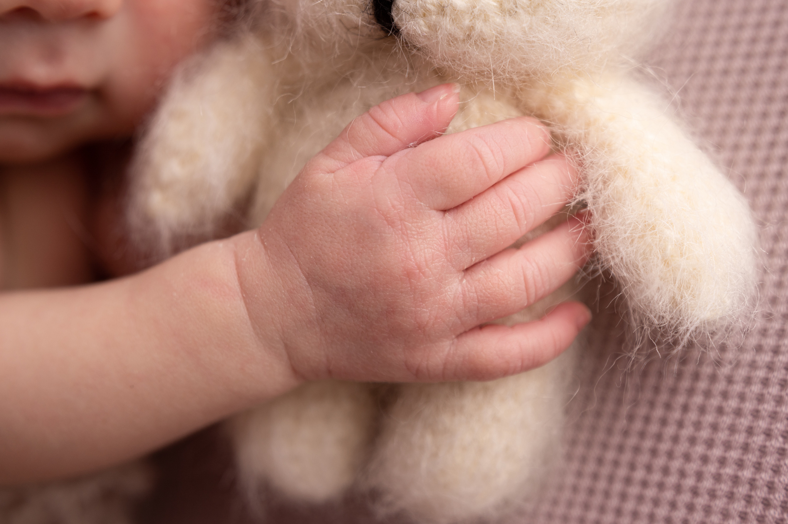 красивые младенцы фото