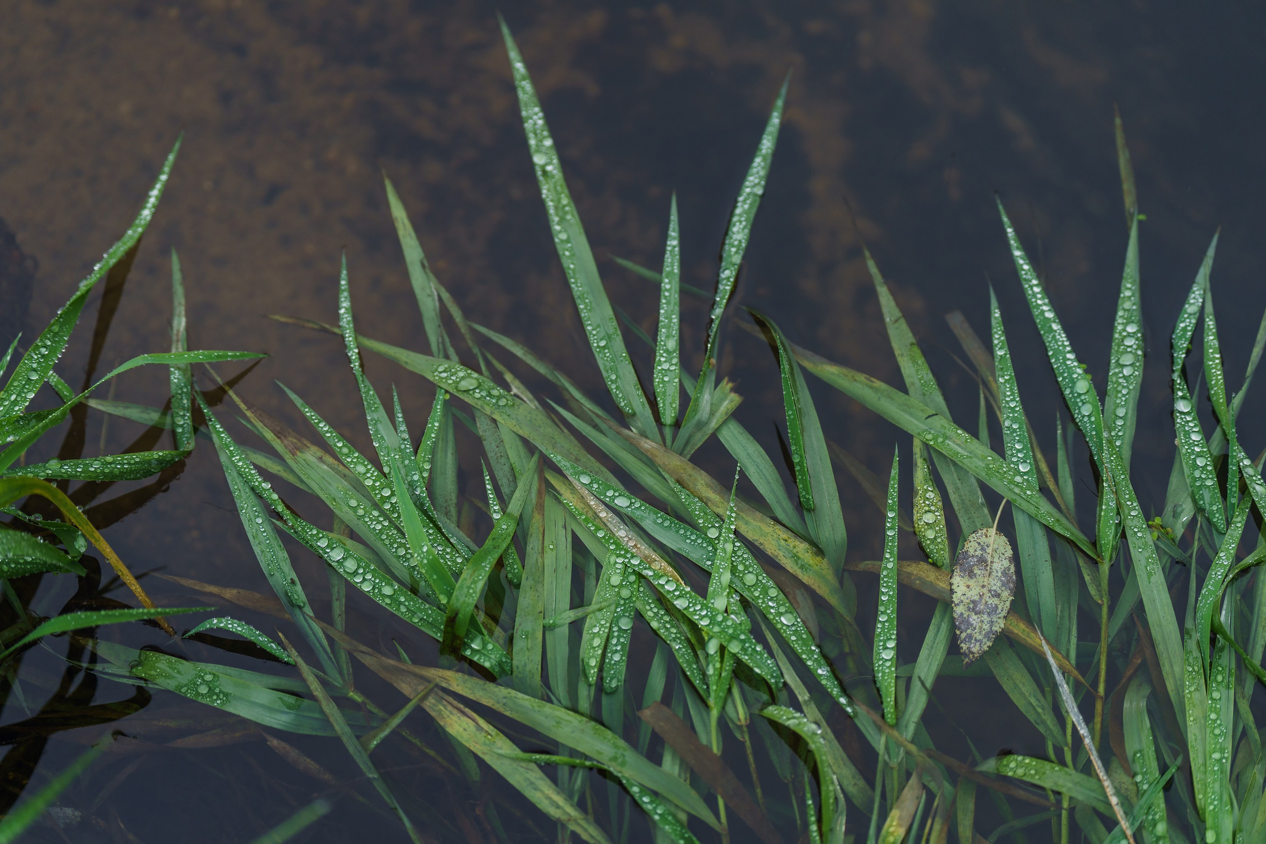 Фотографии Трейл Кутузов 2025. Фотограф спортивные события, недвижимость, турбизнес