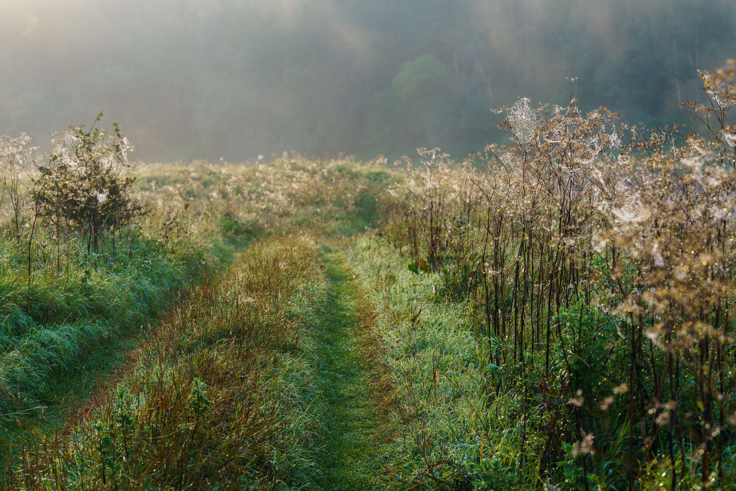 Фотографии Национальный парк Угра. Фотограф спортивные события, недвижимость, турбизнес