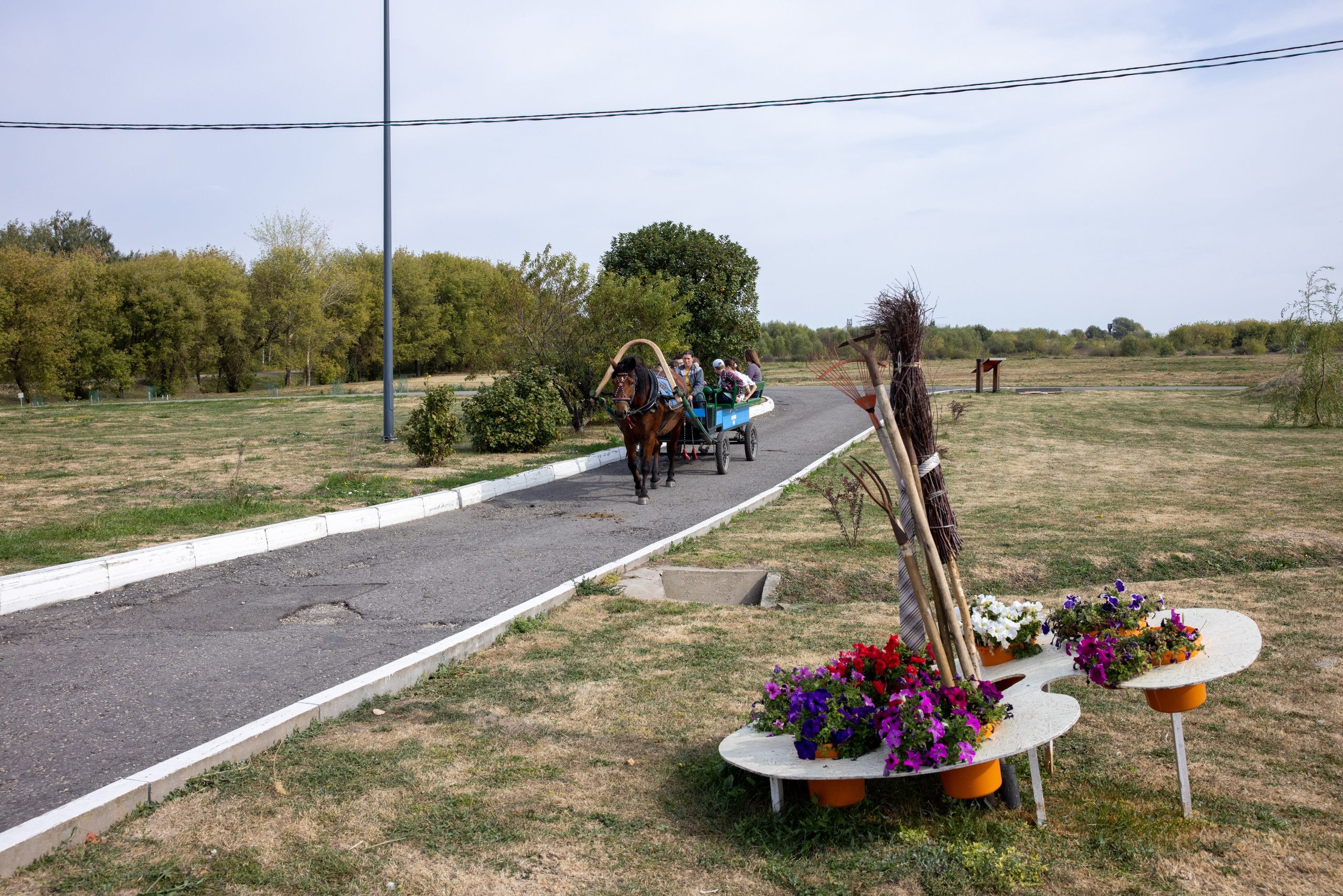Поездка на поле Кулеково. Фотограф в Туле Крупский АнДРей. Фотостудия «КАДР71» в Туле