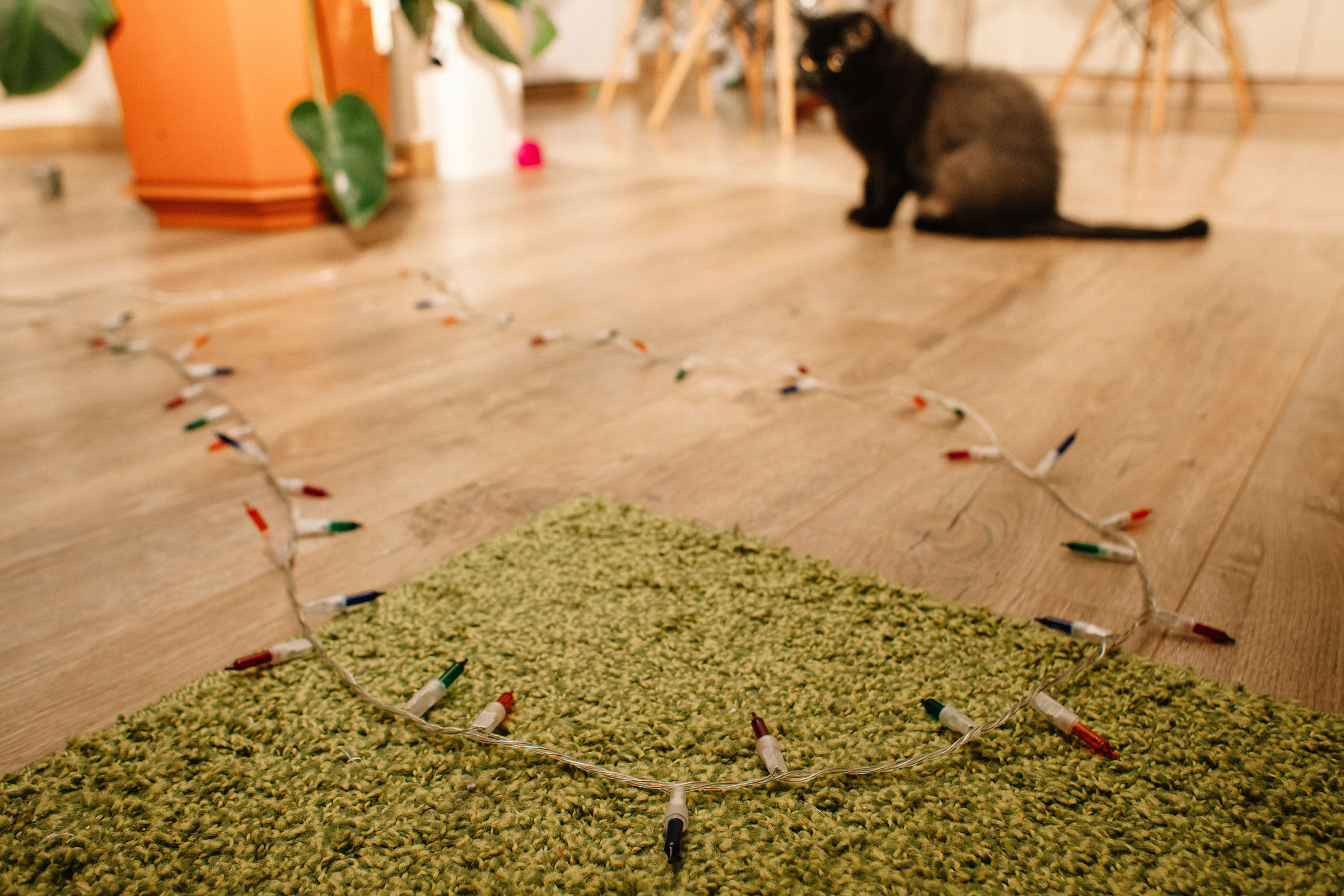 Первая ёлка. Семейный и свадебный фотограф в Майкопе Михаил Мартиросян