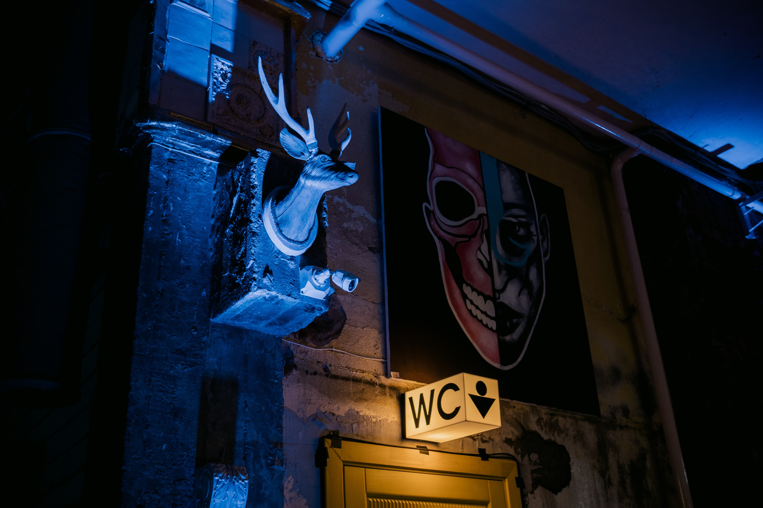 VK NIGHT SPb. Репортажный и портретный фотограф в Москве Илья Спиридонов