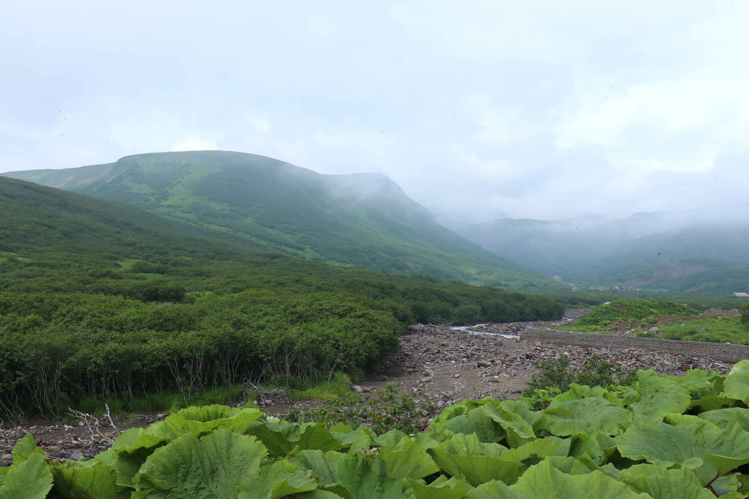 Камчатка и о. Парамушир. Июль 2024. Путешественник-фотограф из Санкт-Петербурга Татьяна Свистулина